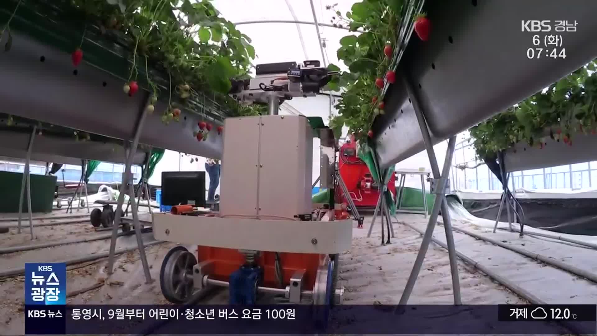 지방소멸 위기 직격탄…농업도 AI가 해결사?