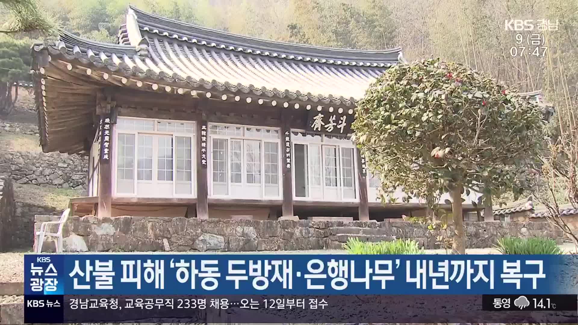 산불 피해 ‘하동 두방재·은행나무’ 내년까지 복구