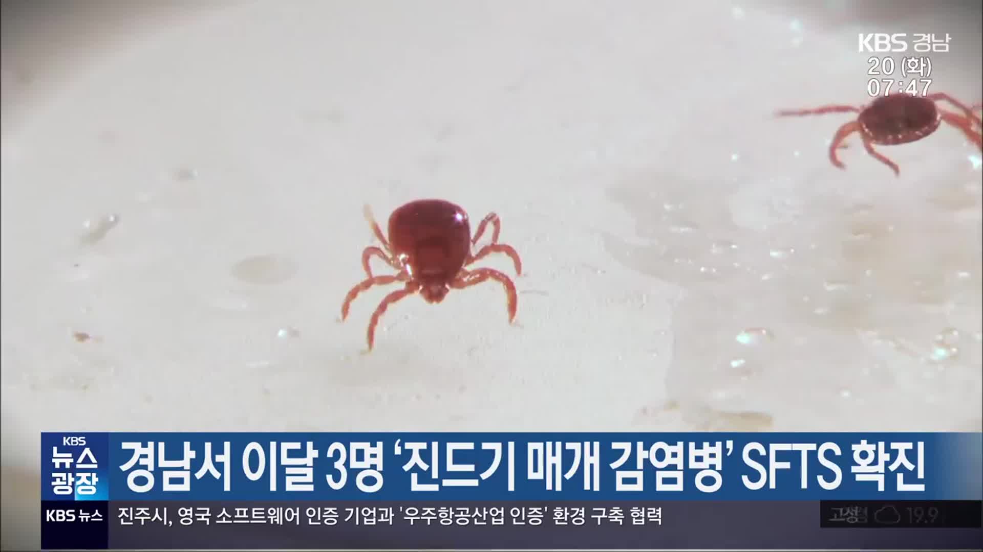 경남서 이달 3명 ‘진드기 매개 감염병’ SFTS 확진