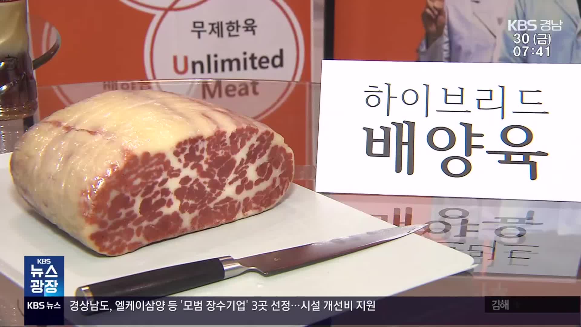 경상국립대연구팀, 배양육 개발…“고기 식감과 비슷”