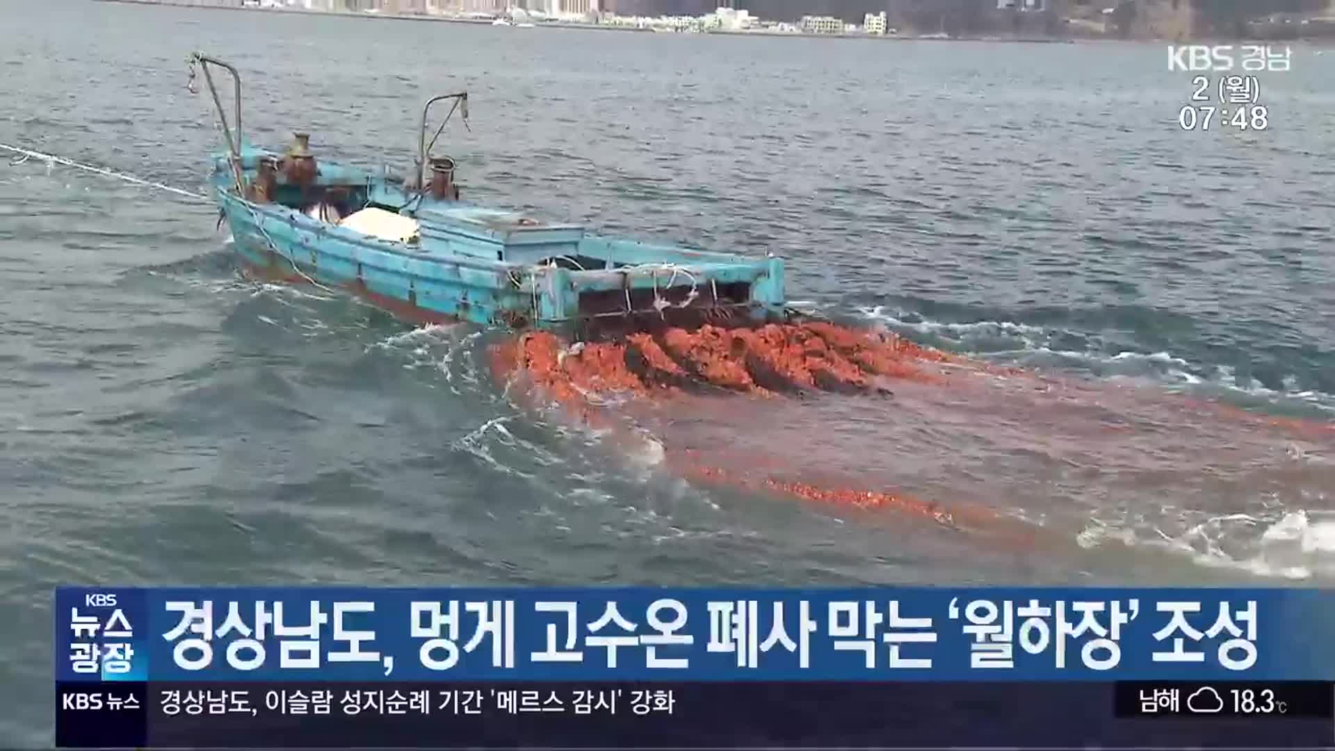 경상남도, 멍게 고수온 폐사 막는 ‘월하장’ 조성
