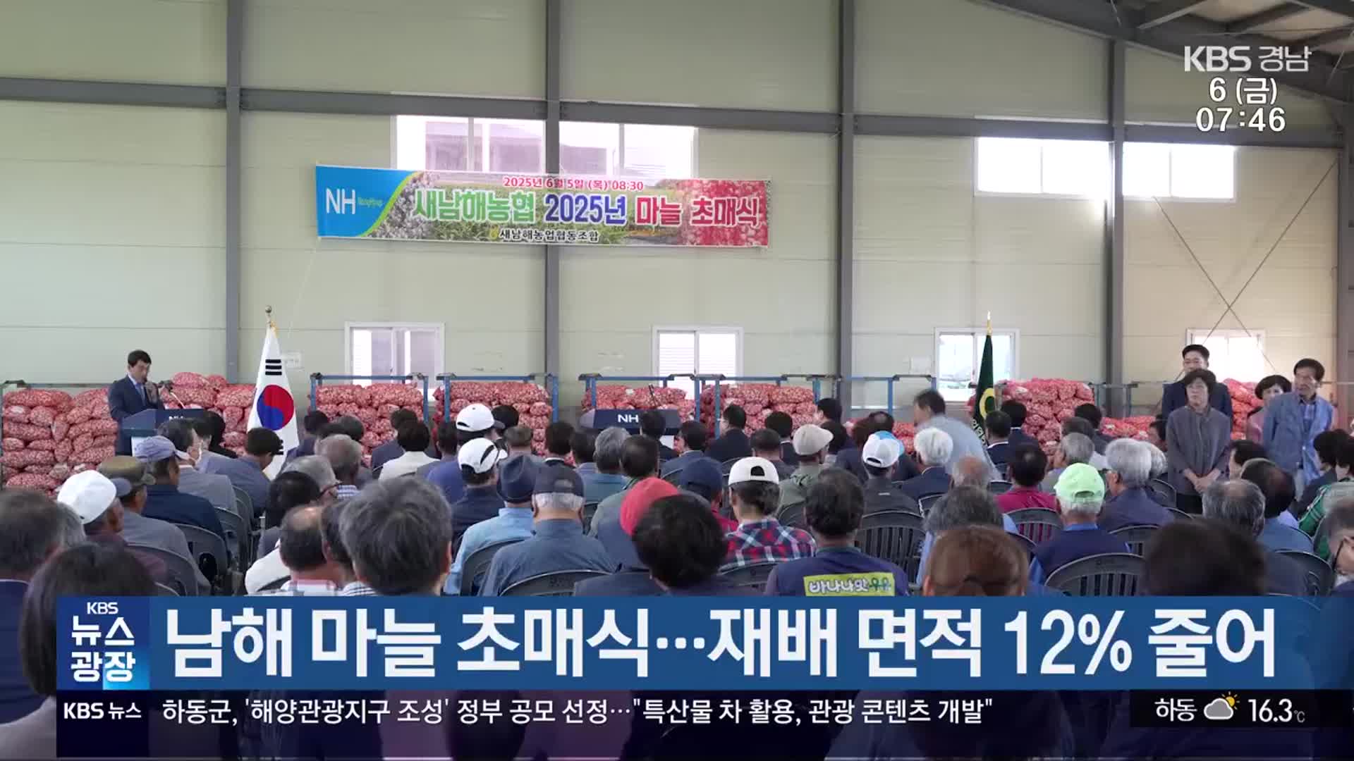 남해 마늘 초매식…재배 면적 12% 줄어