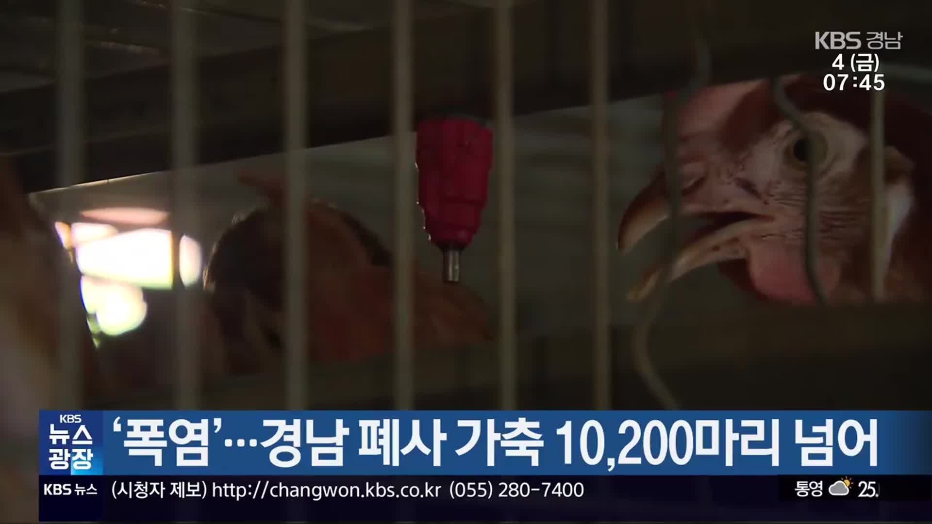 ‘폭염’…경남 폐사 가축 10,200 마리 넘어