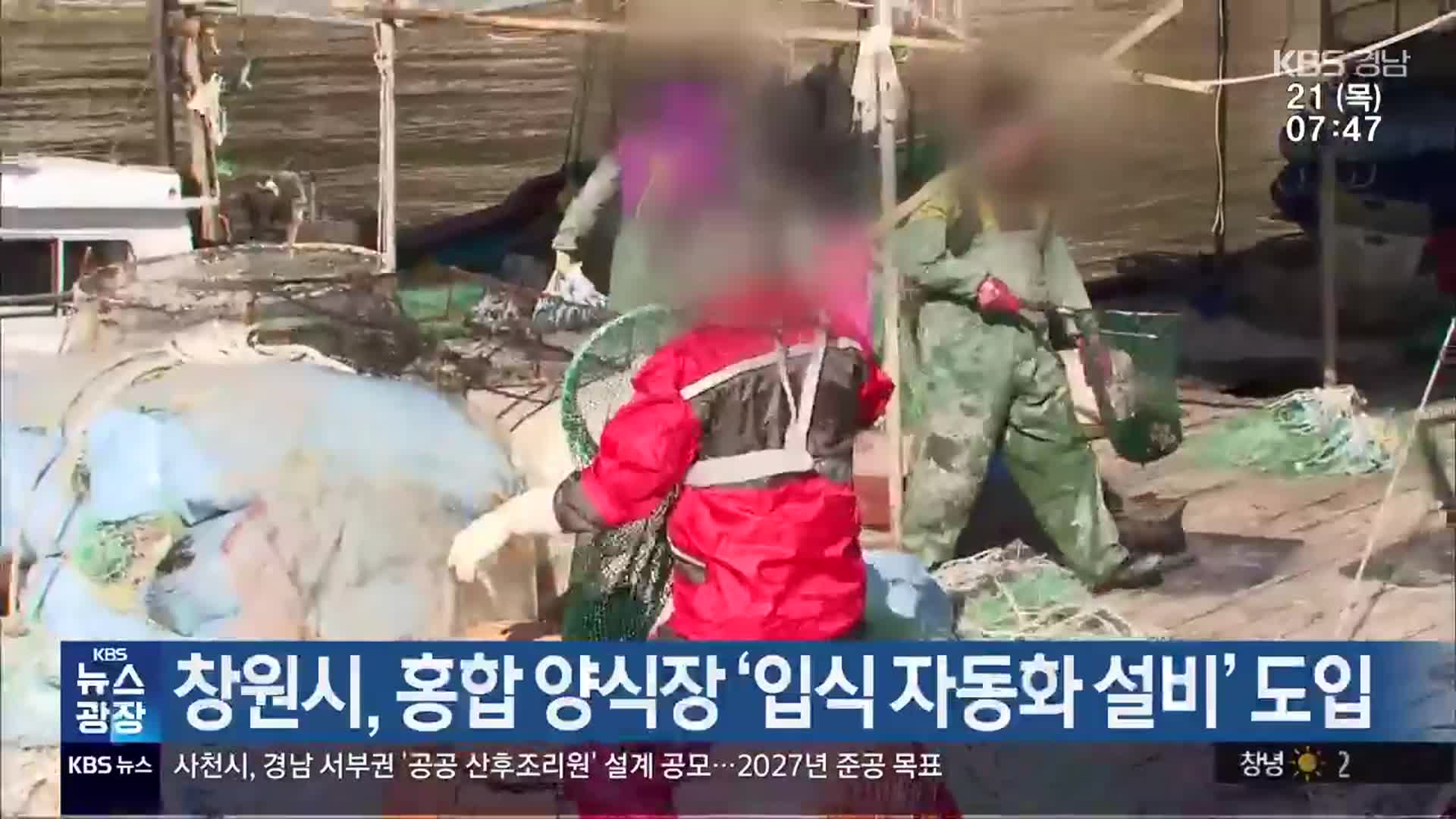 창원시, 홍합 양식장 ‘입식 자동화 설비’ 도입