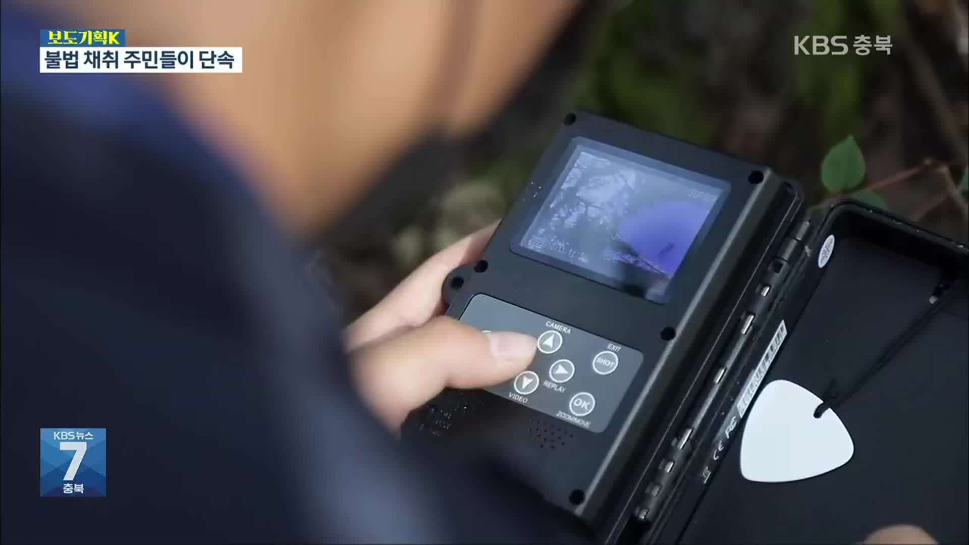 [보도기획K] 야생버섯 불법 채취 기승…단속반 추격전