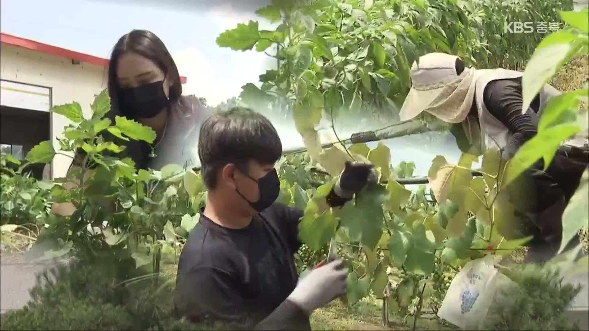 “빌려주고, 알려주고”…졸업생까지 농창업 지원