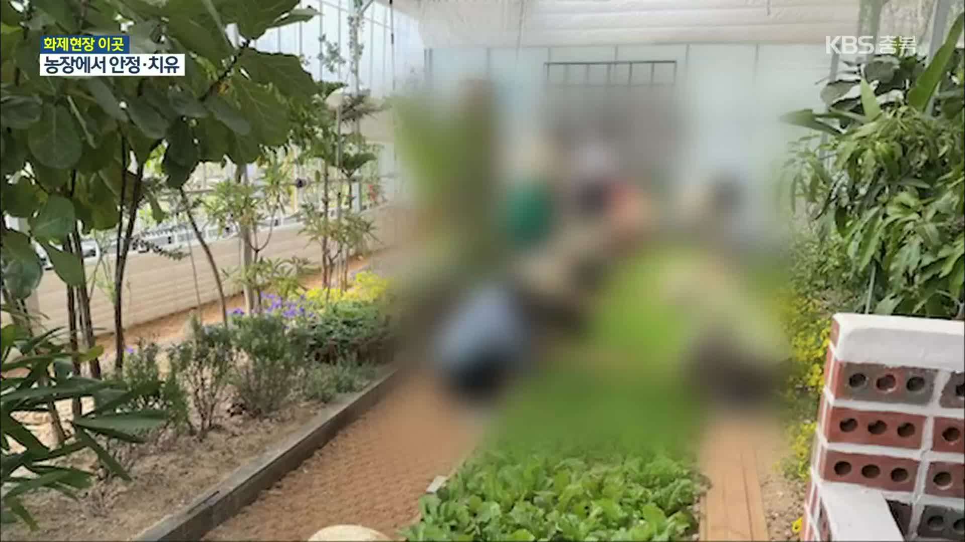 [화제현장 이곳] 식물과 함께 오감 자극…치유 농장 인기