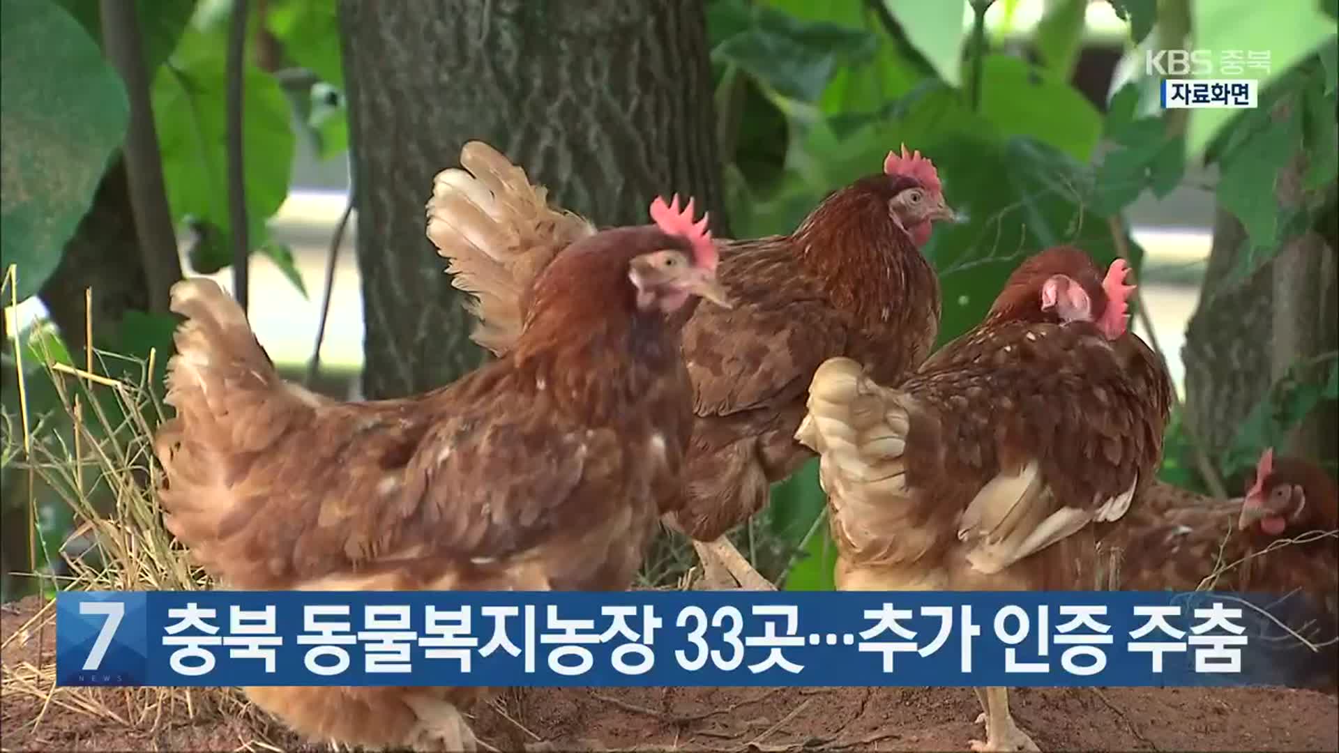 [간추린 단신] 충북 동물복지농장 33곳…추가 인증 주춤 외