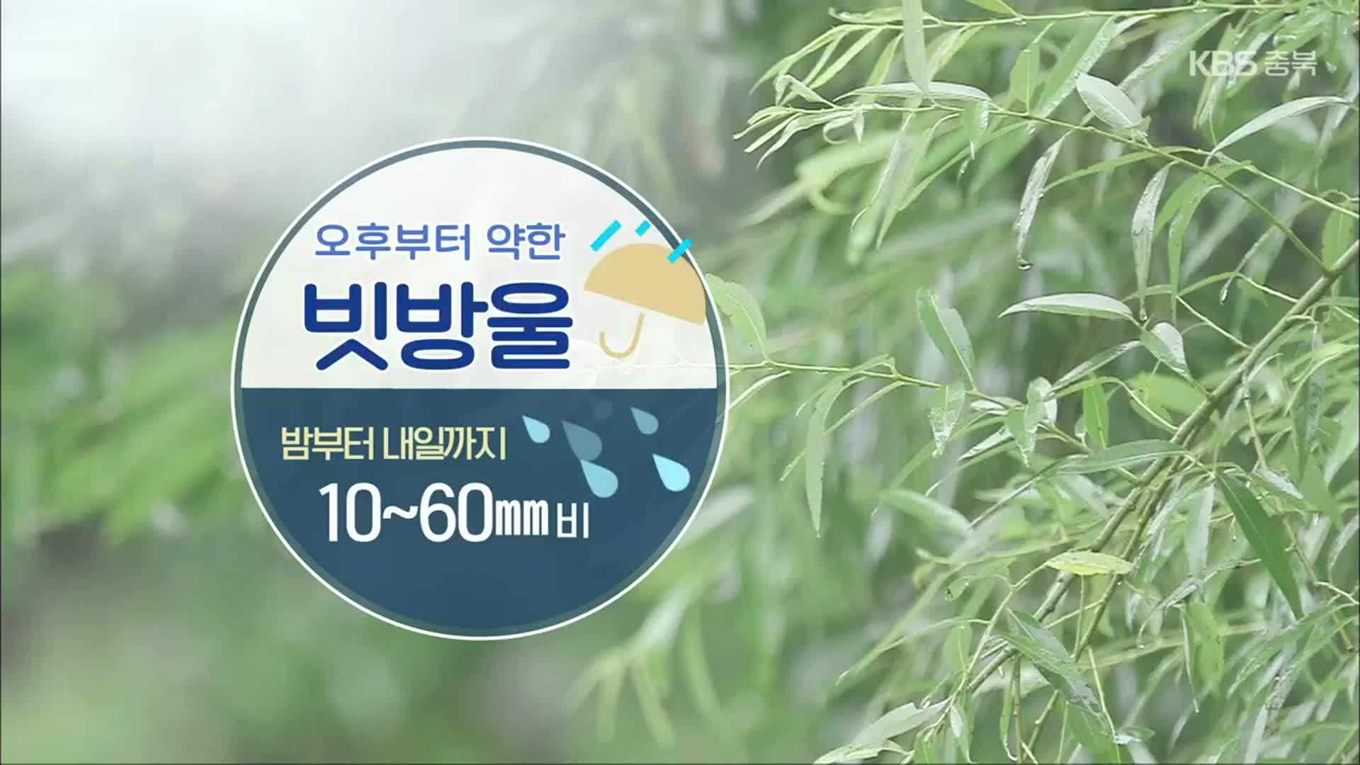 [날씨] 충북 밤~내일 10~60mm 비…내일 낮까지 천둥·번개·돌풍 동반 ‘비’