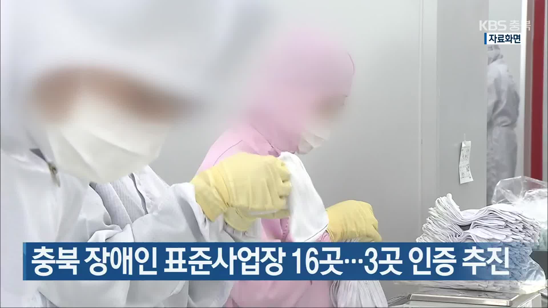 충북 장애인 표준사업장 16곳…3곳 인증 추진