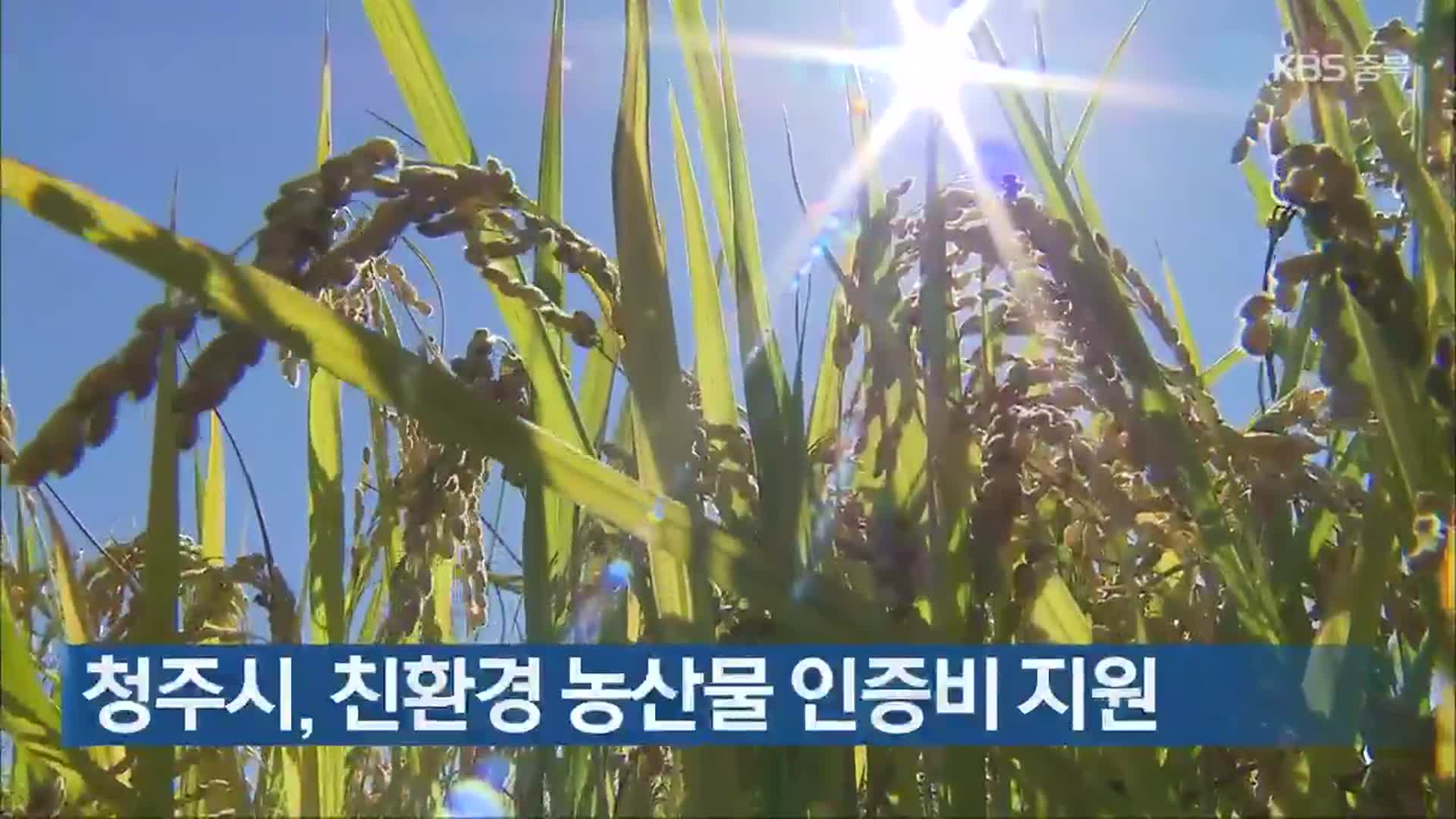 청주시, 친환경 농산물 인증비 지원