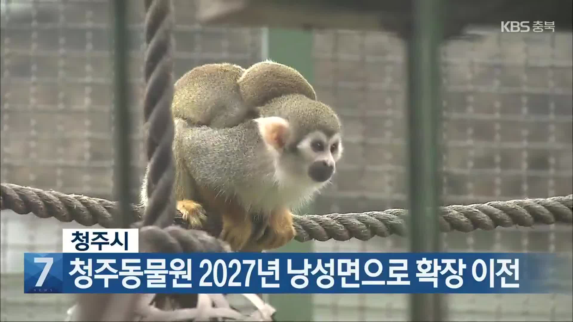 [간추린 단신] 청주시, 청주동물원 2027년 낭성면으로 확장 이전 외