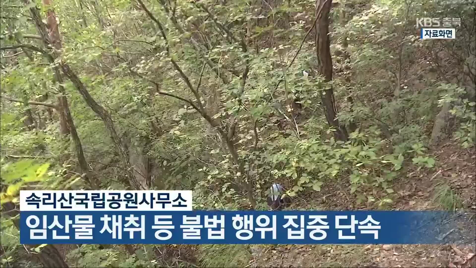 속리산국립공원사무소, 임산물 채취 등 불법 행위 집중 단속