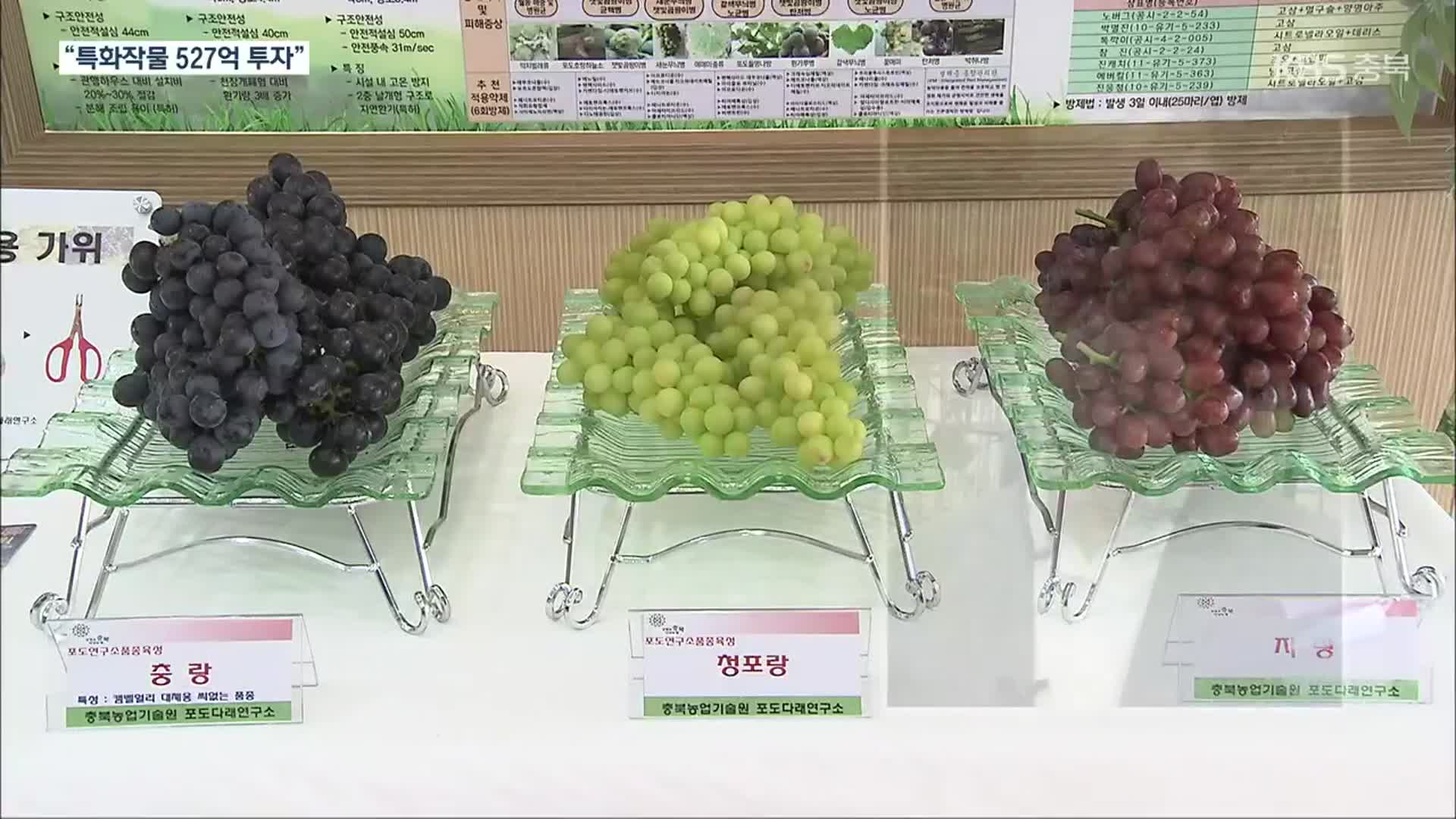 “충북 농업 경쟁력 강화”…8개 특화작목 육성