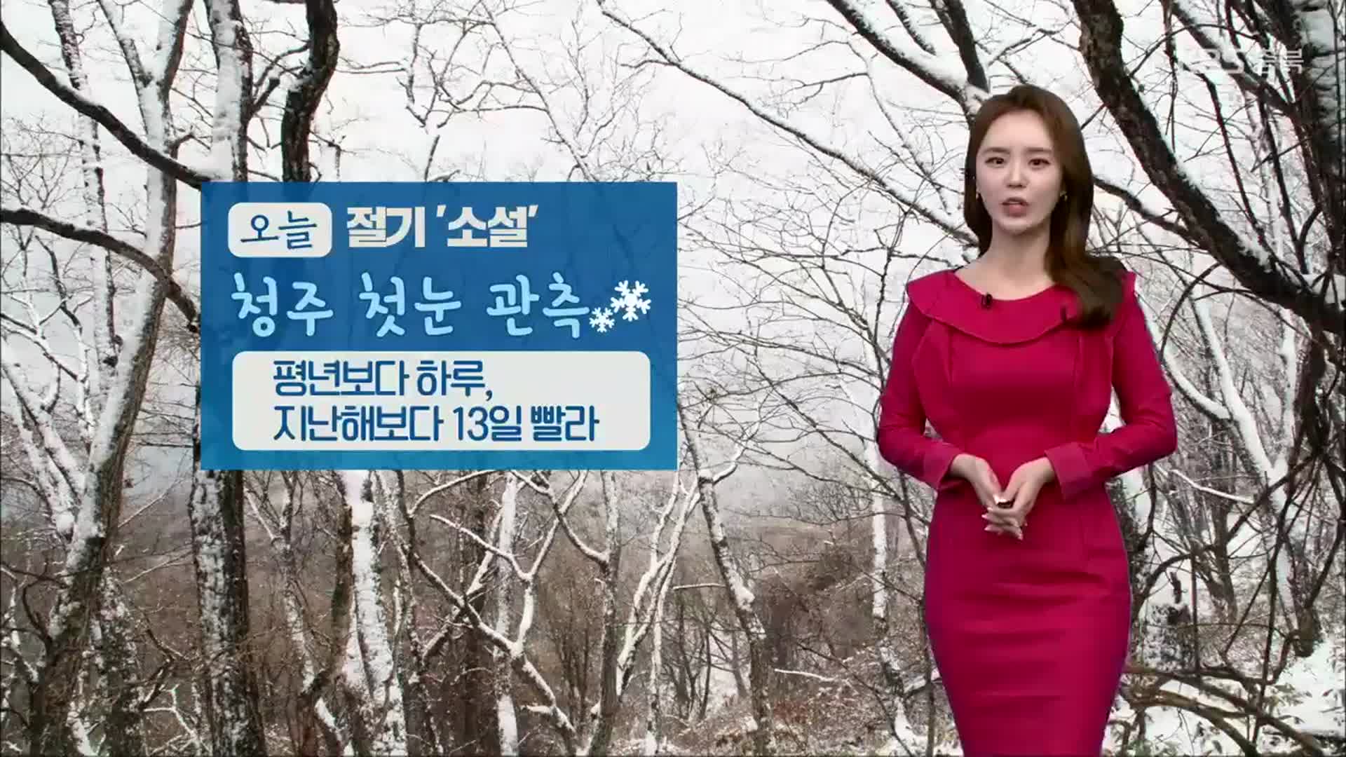 [날씨] 충북 내일 많은 양의 눈…영하권 추위