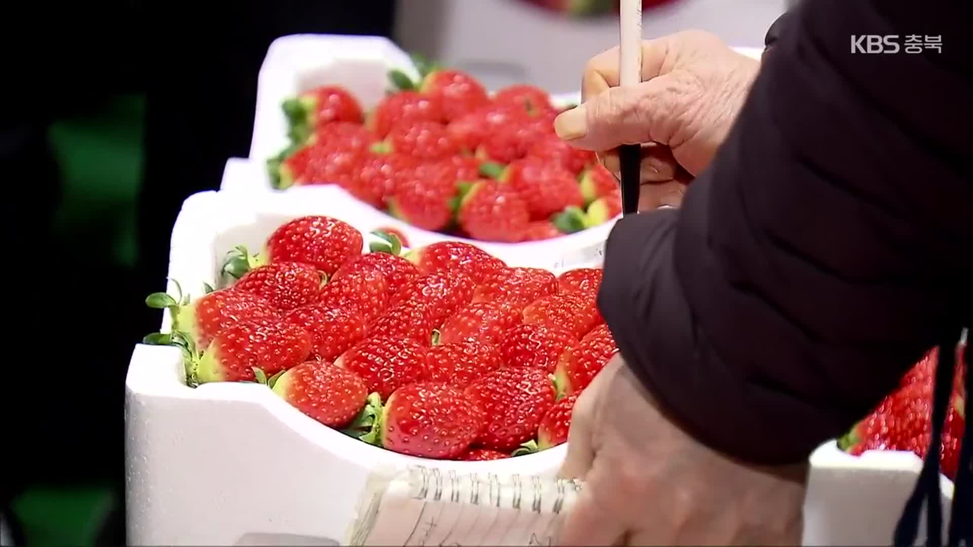딸기값 70% 이상 급등…왜?
