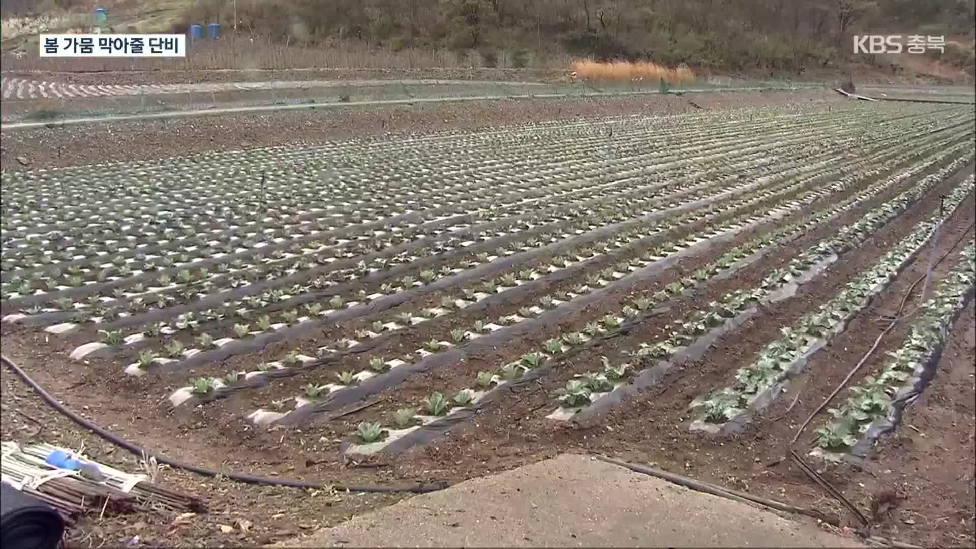 [여기는 충주] 반가운 봄비에 가뭄 해갈…“모내기철 정상적 용수 공급”