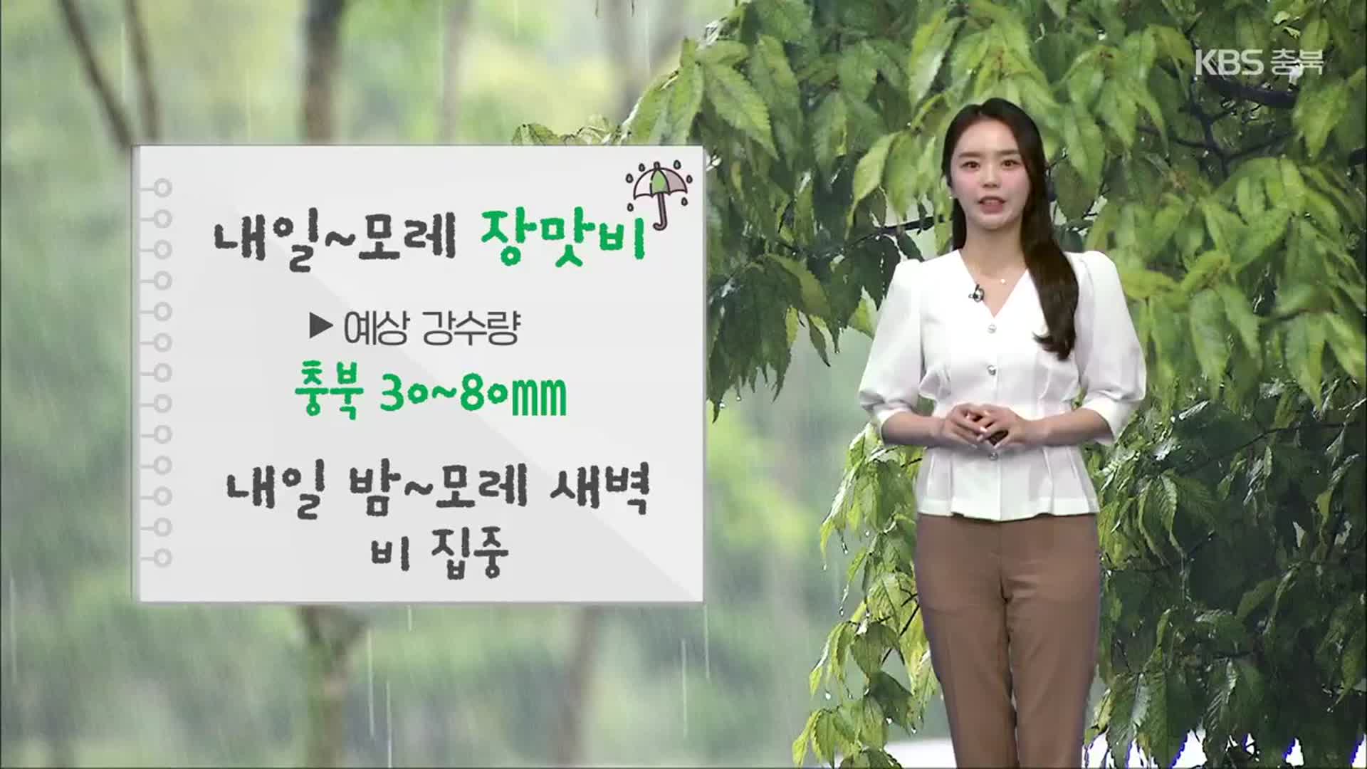 [날씨] 충북 내일~모레 장맛비…예상 강수량 ‘최고 80mm’