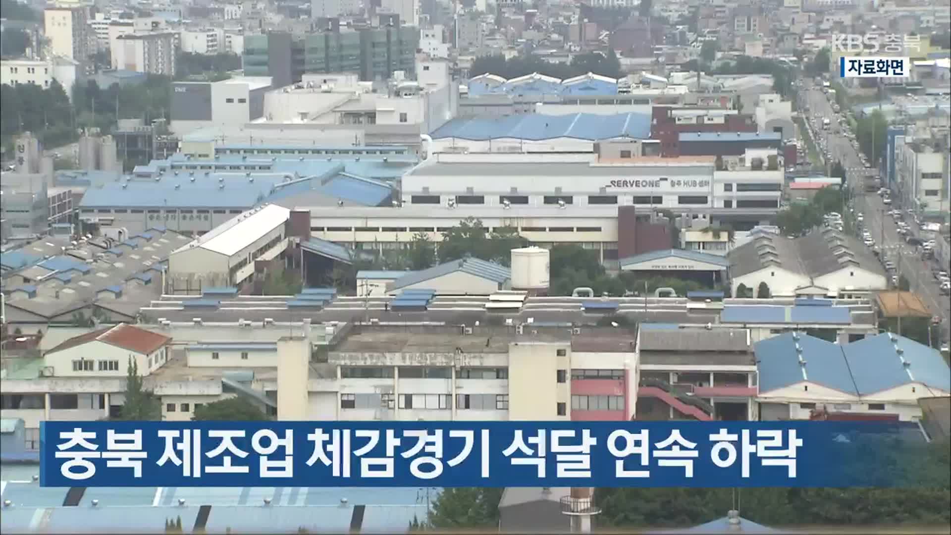 충북 제조업 체감경기 석달 연속 하락