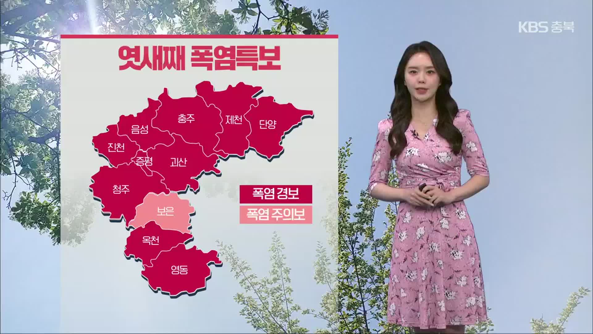 [날씨] 충북 내일도 폭염 기승…곳곳 강한 소나기