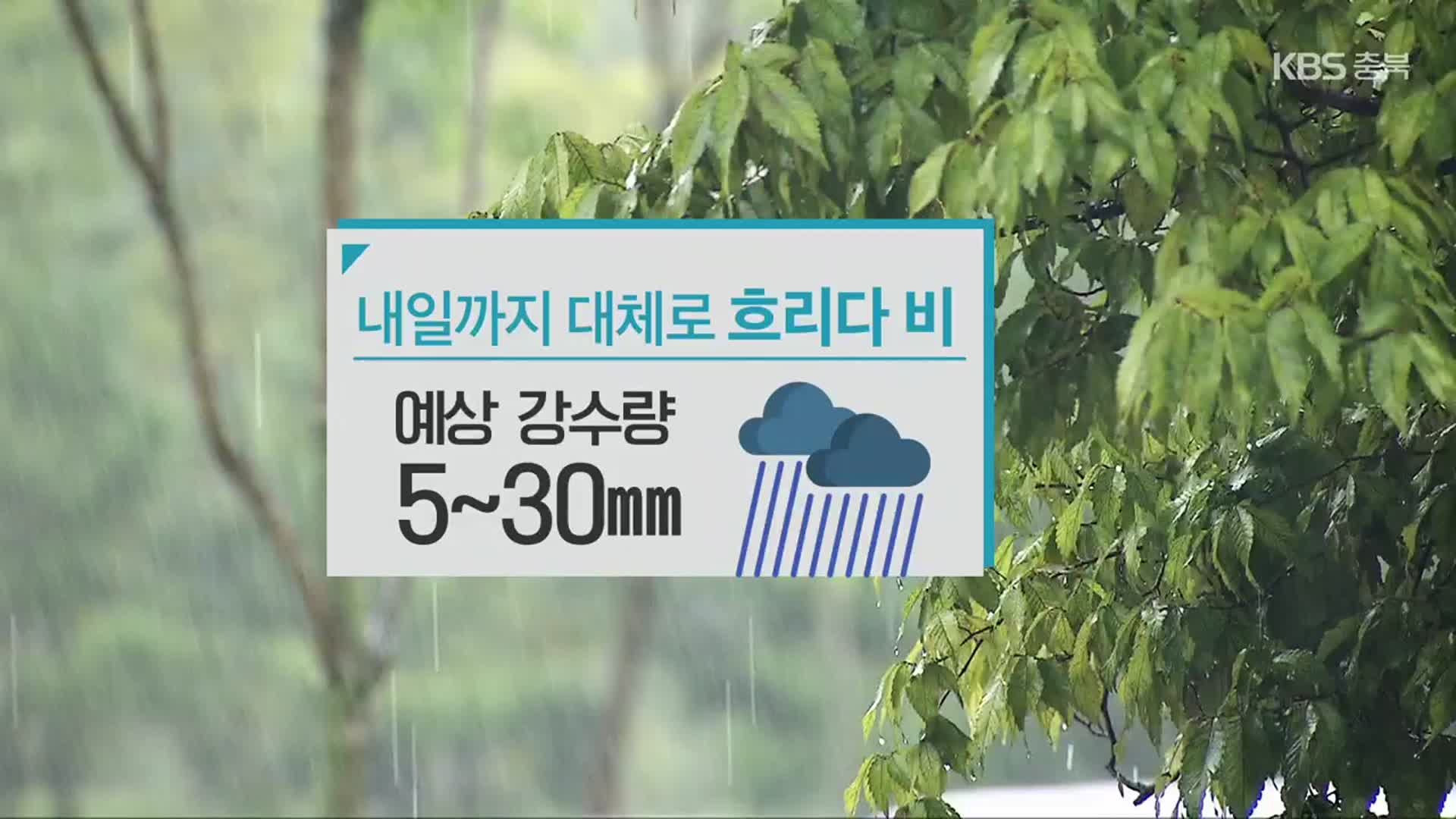 [날씨] 충북 내일까지 대체로 흐리다 비…예상 강수량 5~30mm