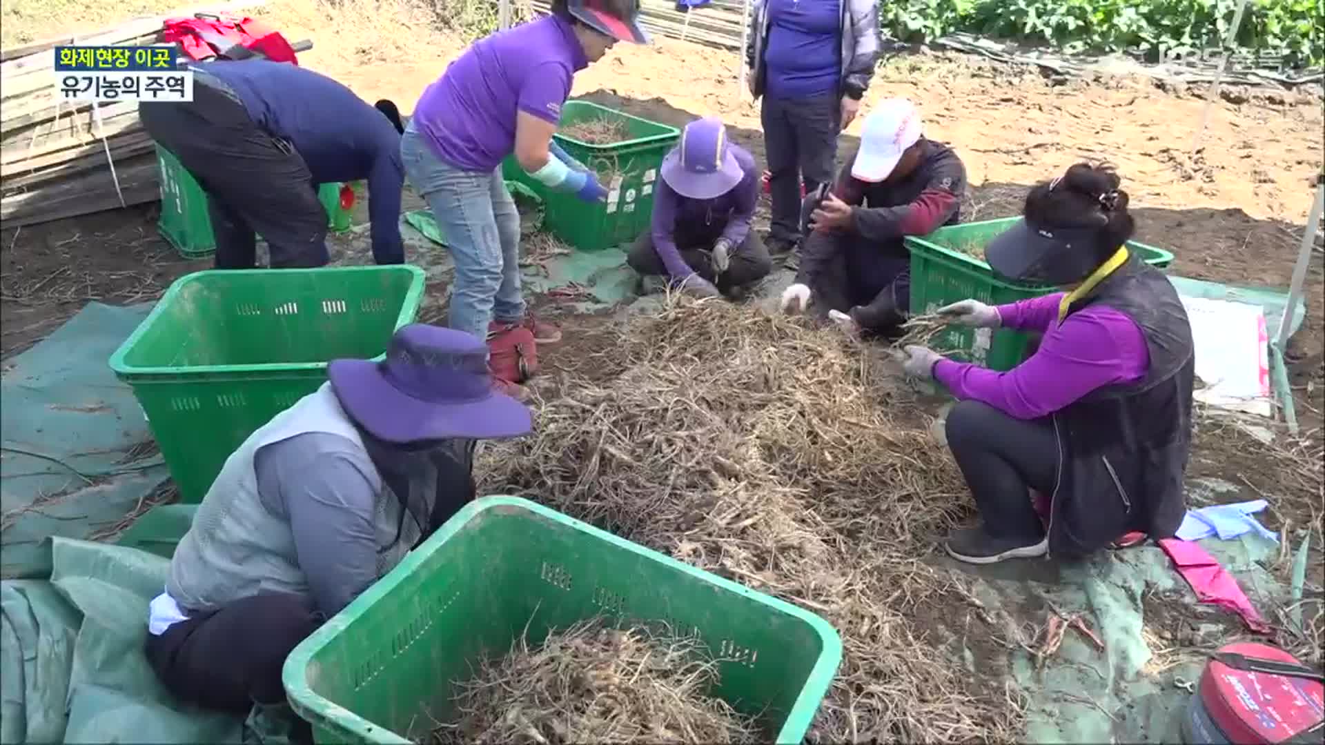 [화제현장 이곳] 유기농엑스포의 주인공 ‘정직한 농부들’