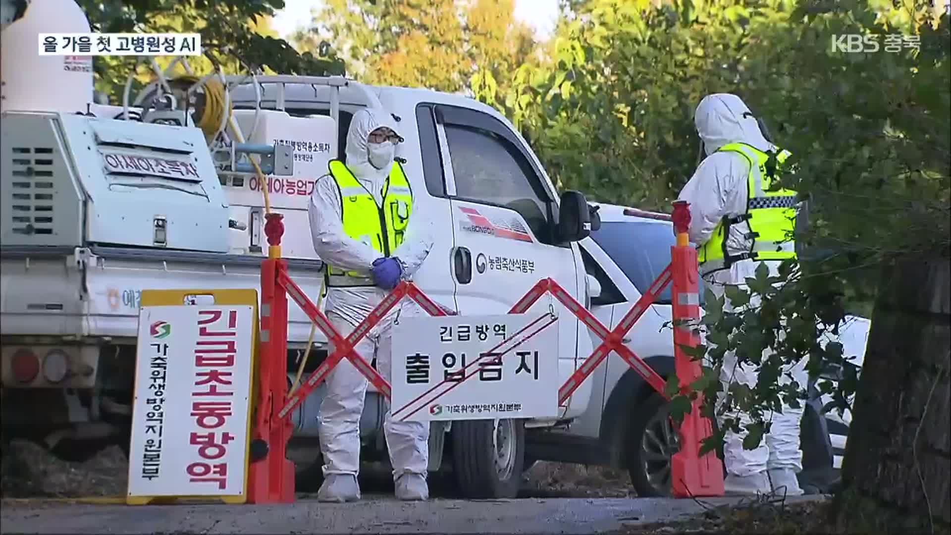 예천 오리농장 ‘고병원성 AI’ 발생