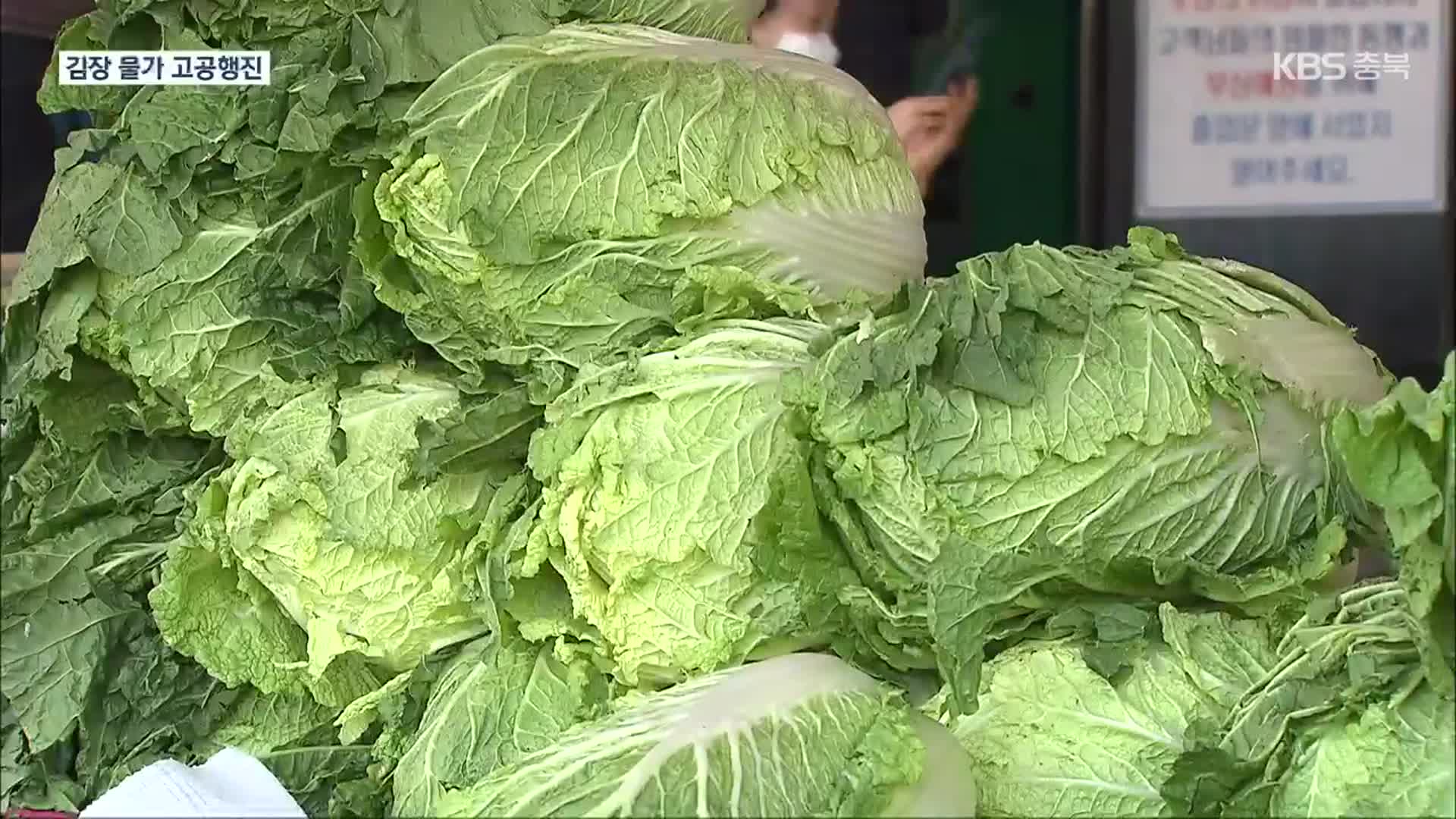 “배춧값은 내렸는데”…올해도 김장 물가 ‘고공행진’