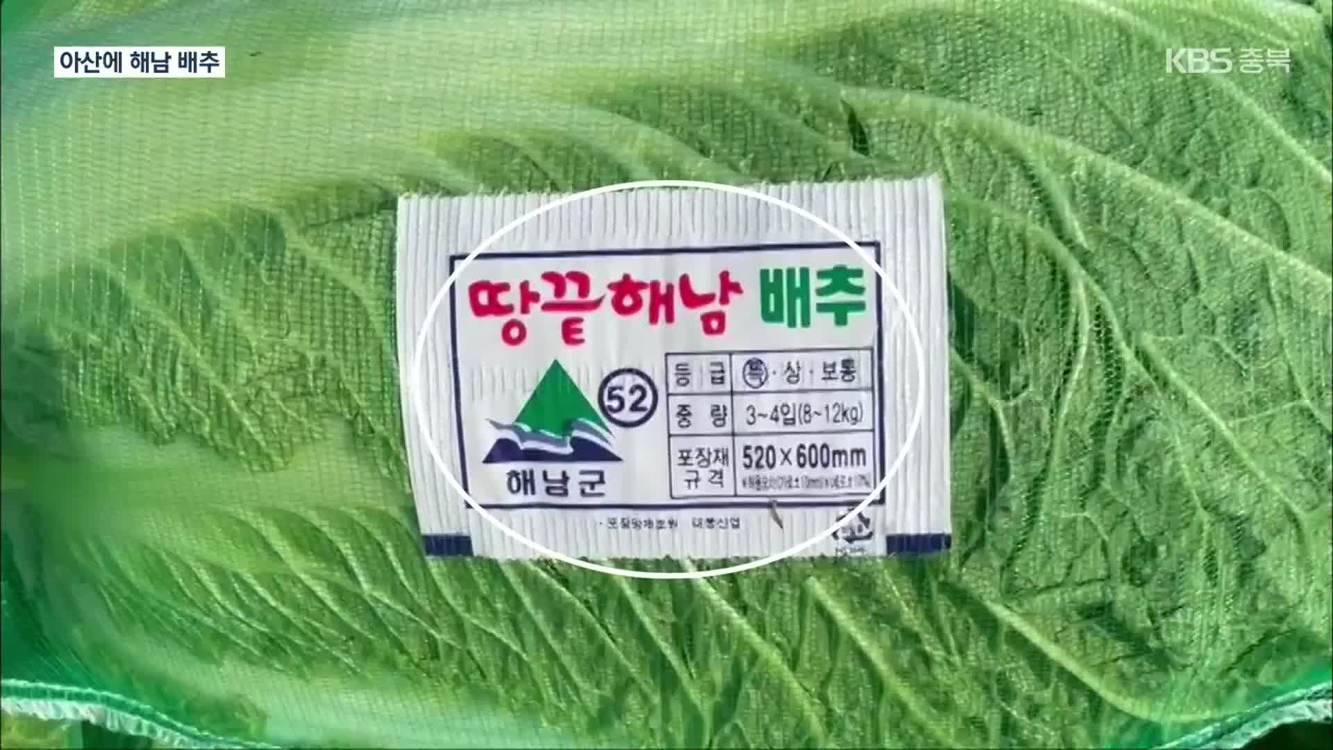 아산 배추밭에 ‘해남산 상표’… 김장철 ‘원산지 둔갑’ 횡행