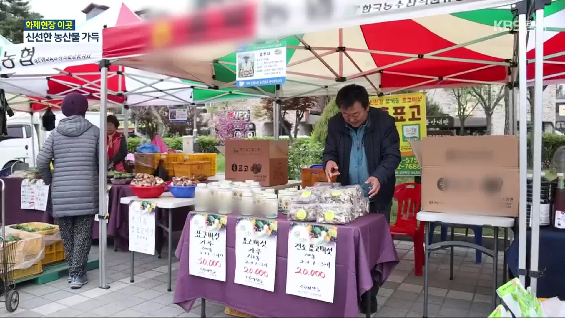 [화제현장 이곳] 다시 찾은 활기…정 가득한 금요장터