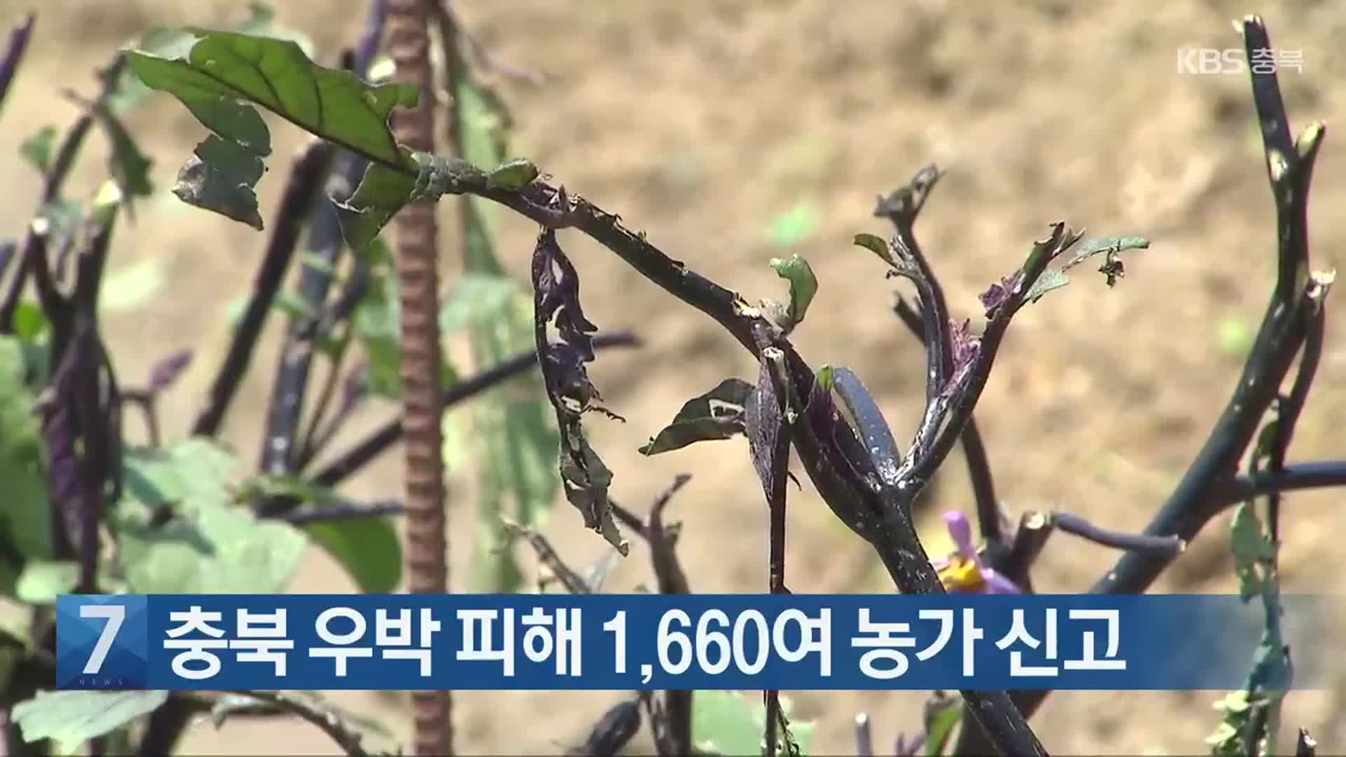 [간추린 단신] 충북 우박 피해 1,660여 농가 신고 외