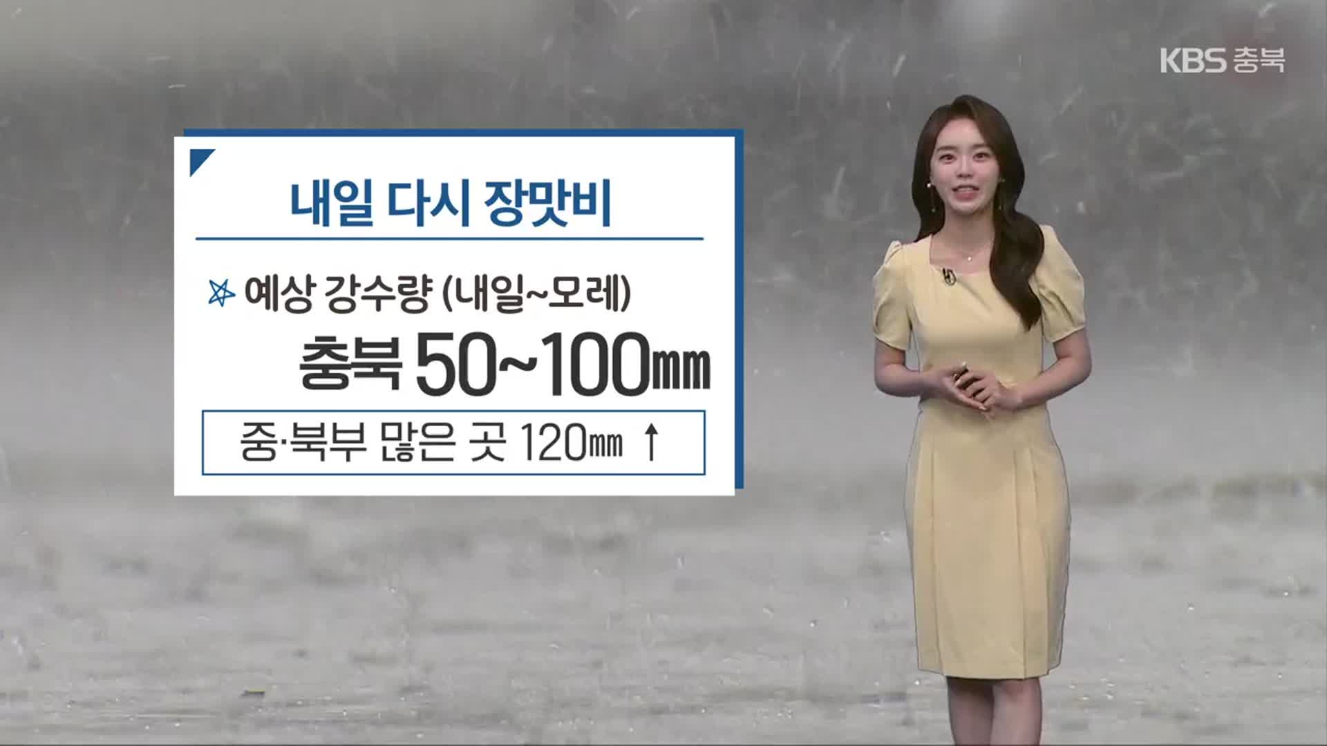 [날씨] 충북 내일~모레 다시 장맛비…최대 120mm↑