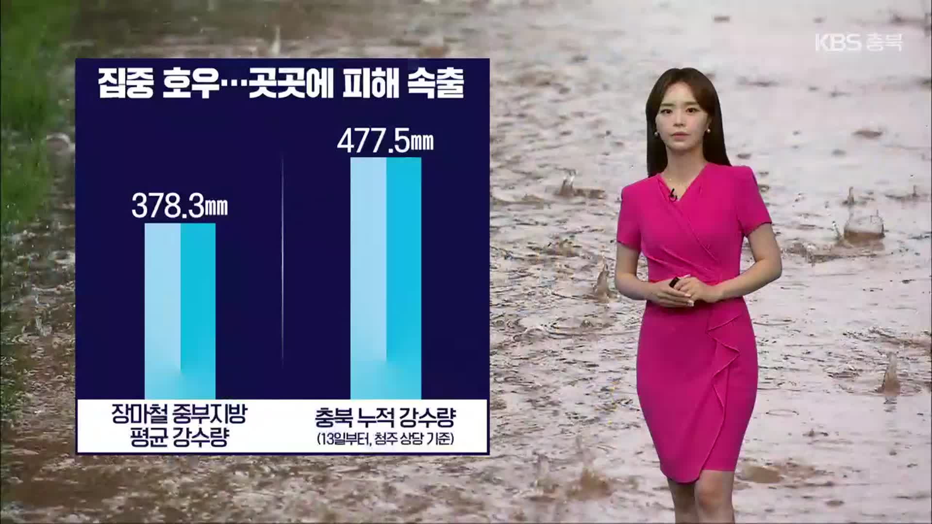 [특보 날씨] 충북 다시 강하고 많은 비…최대 300㎜↑