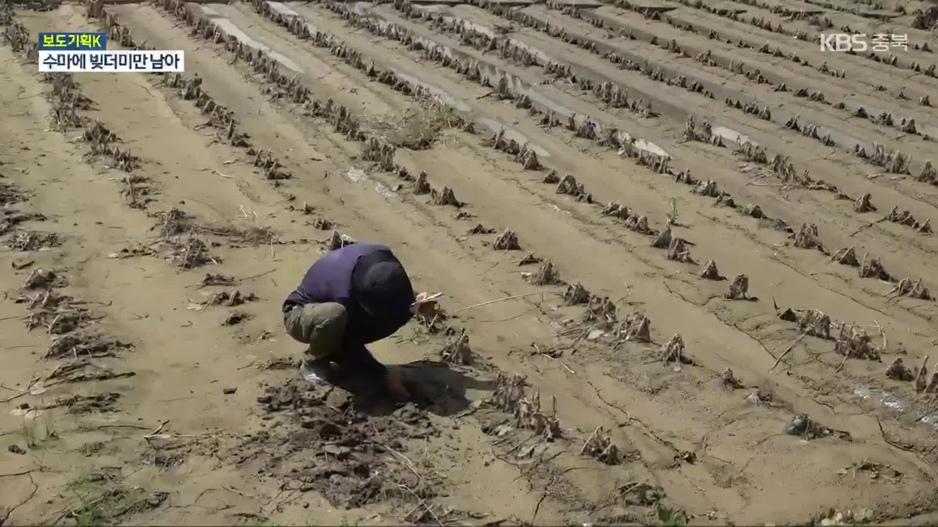 [보도기획K] 수마에 오염된 농지…“복구 못 해요”