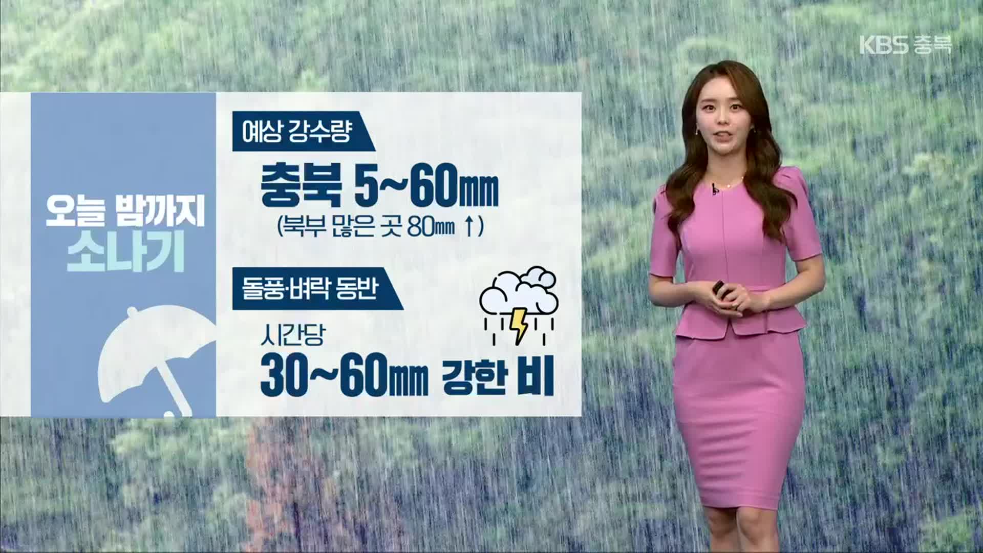 [날씨] 충북 폭염 경보…오늘 밤까지 강한 소나기