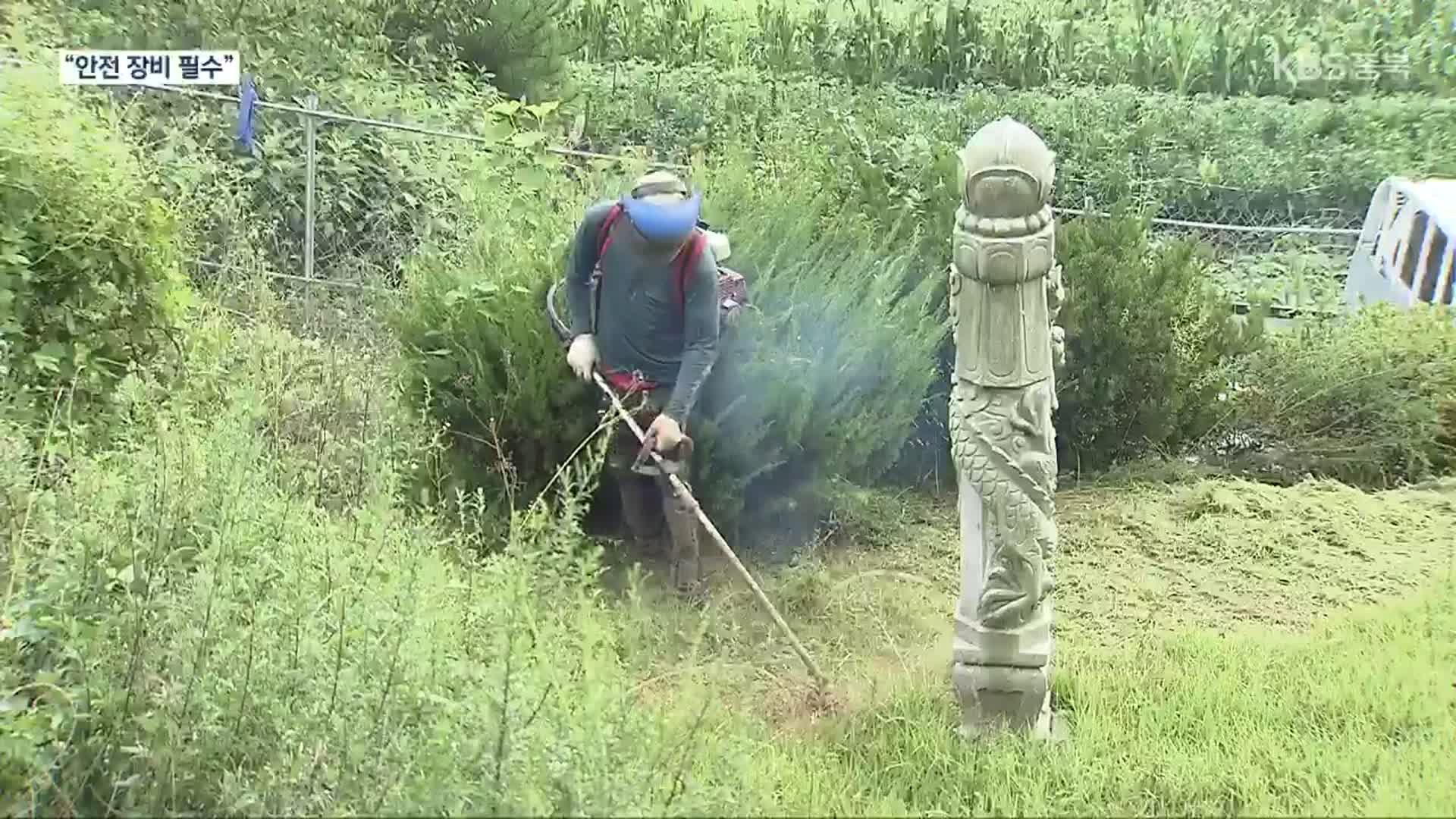 예초기 안전사고 추석 전 집중…“벌초 작업 각별히 주의해야”