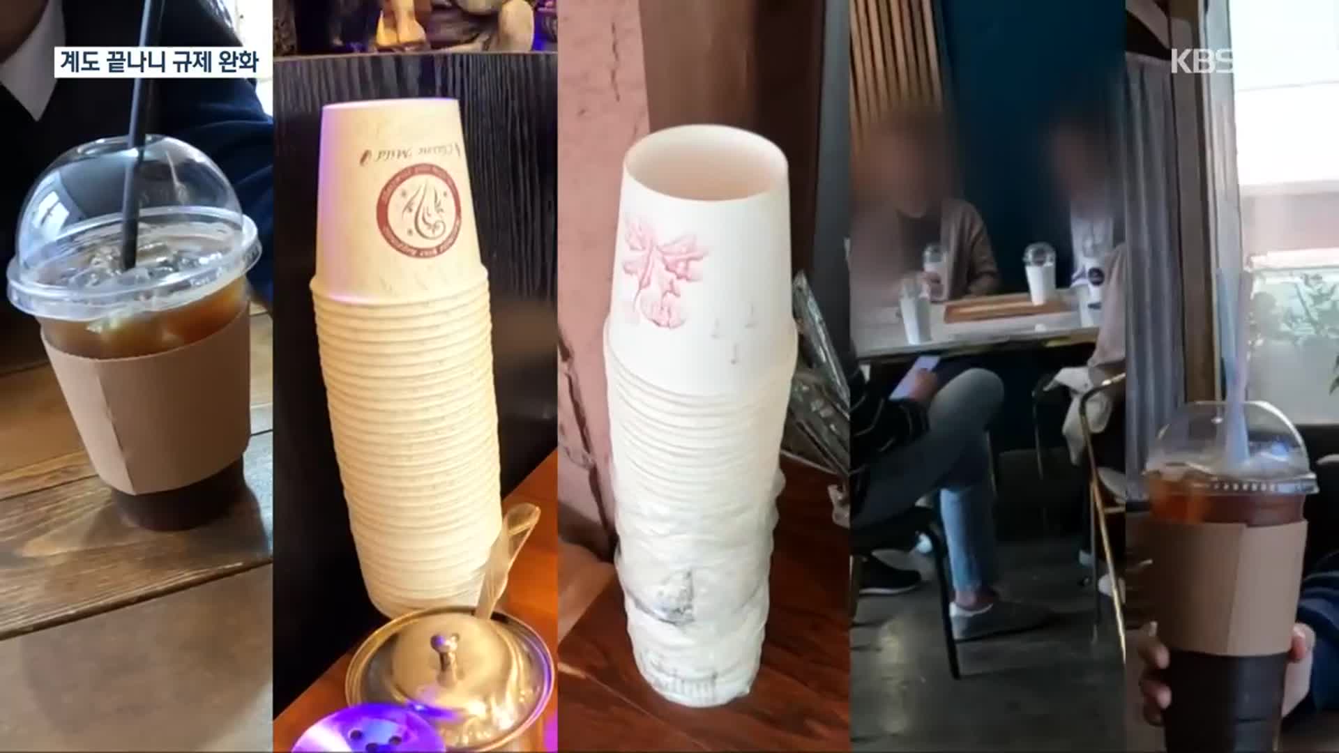 “일회용품 퇴출 노력 없는데”…환경부, 결국 규제 완화