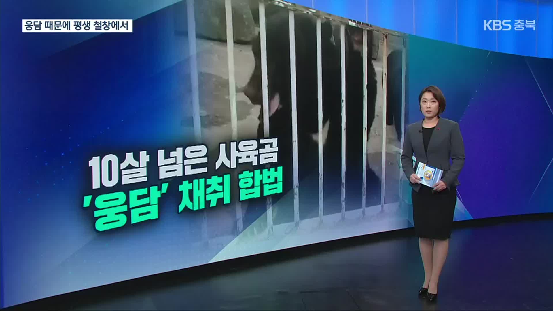 [친절한 뉴스K] ‘웅담’ 위해 철창에서 평생…비극 끝날까