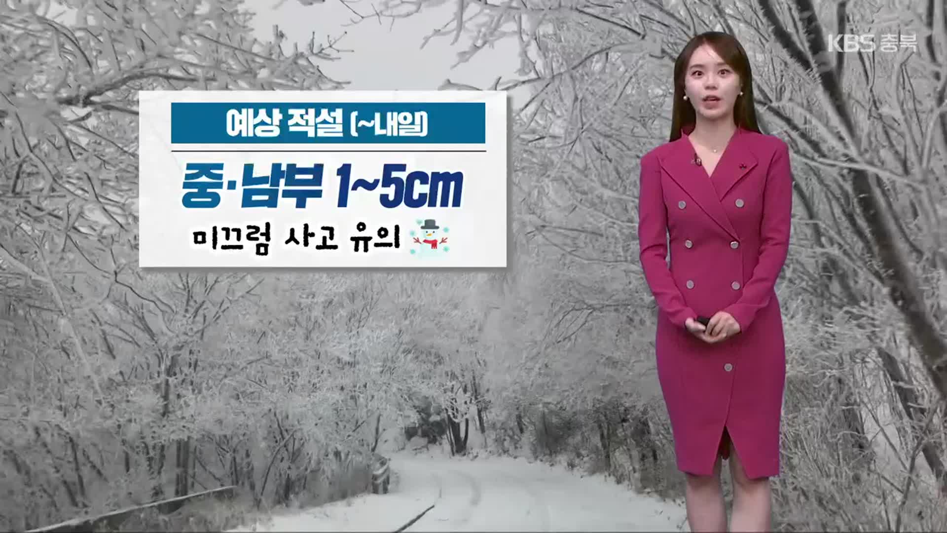 [날씨] 충북 내일 한파 절정…중·북부 아침까지 눈