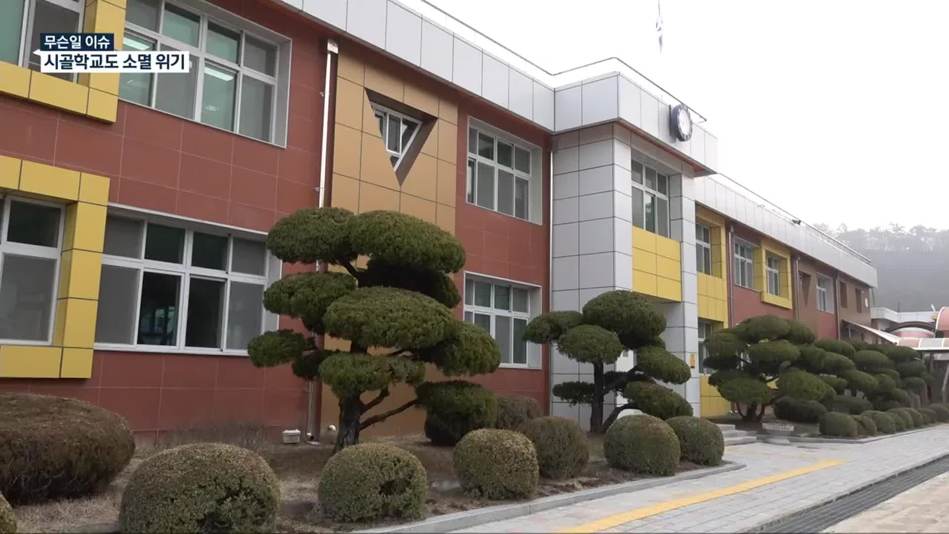 [무슨일 이슈] 신입생 감소에 사라지는 입학식