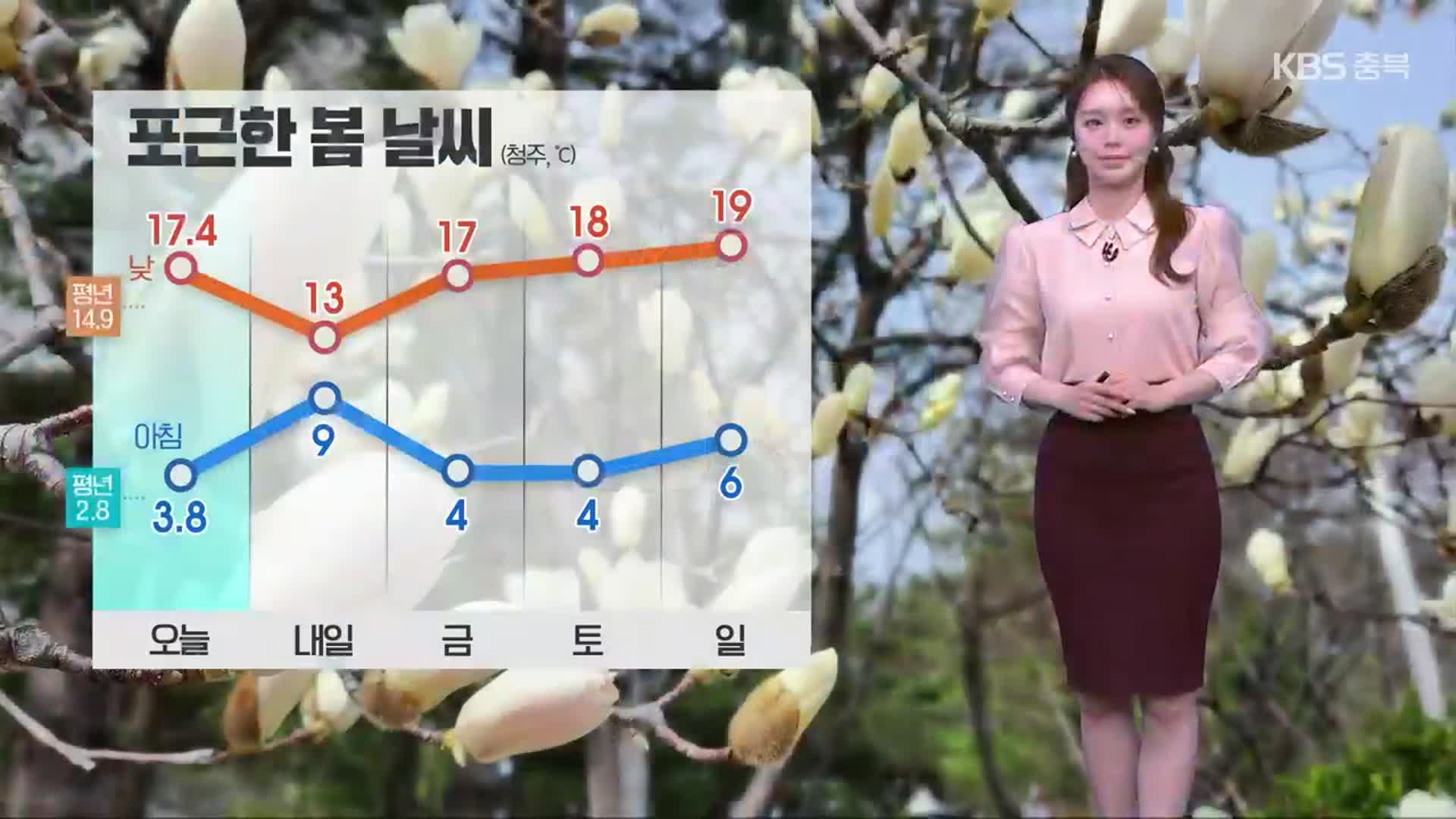 [날씨] 충북 내일 비 소식…황사비 가능성