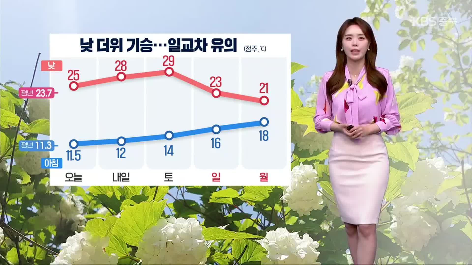 [날씨] 충북 내일 낮 더위…일교차·자외선 유의