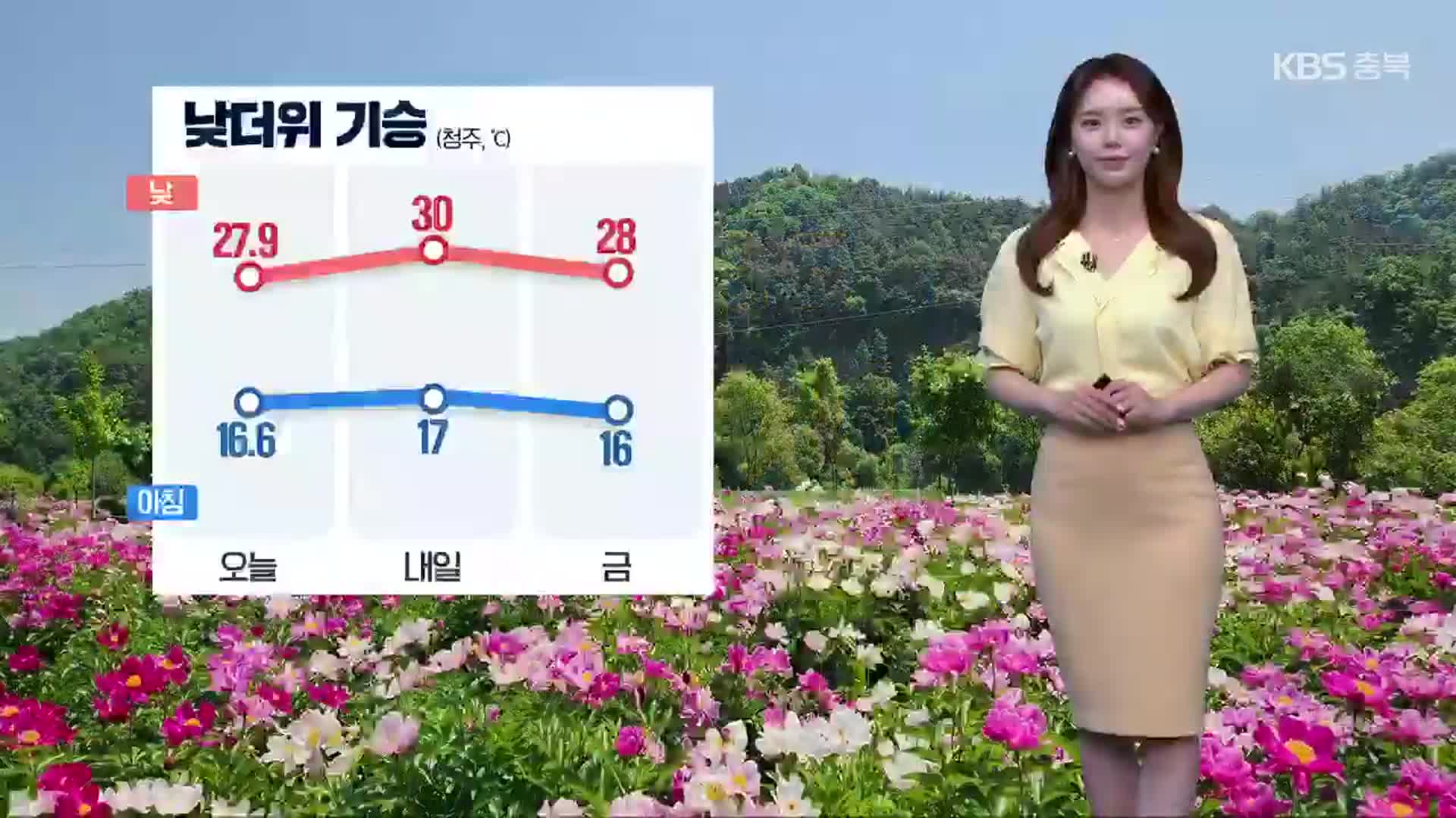 [날씨] 충북 내일도 낮 더위 기승…출근길 짙은 안개