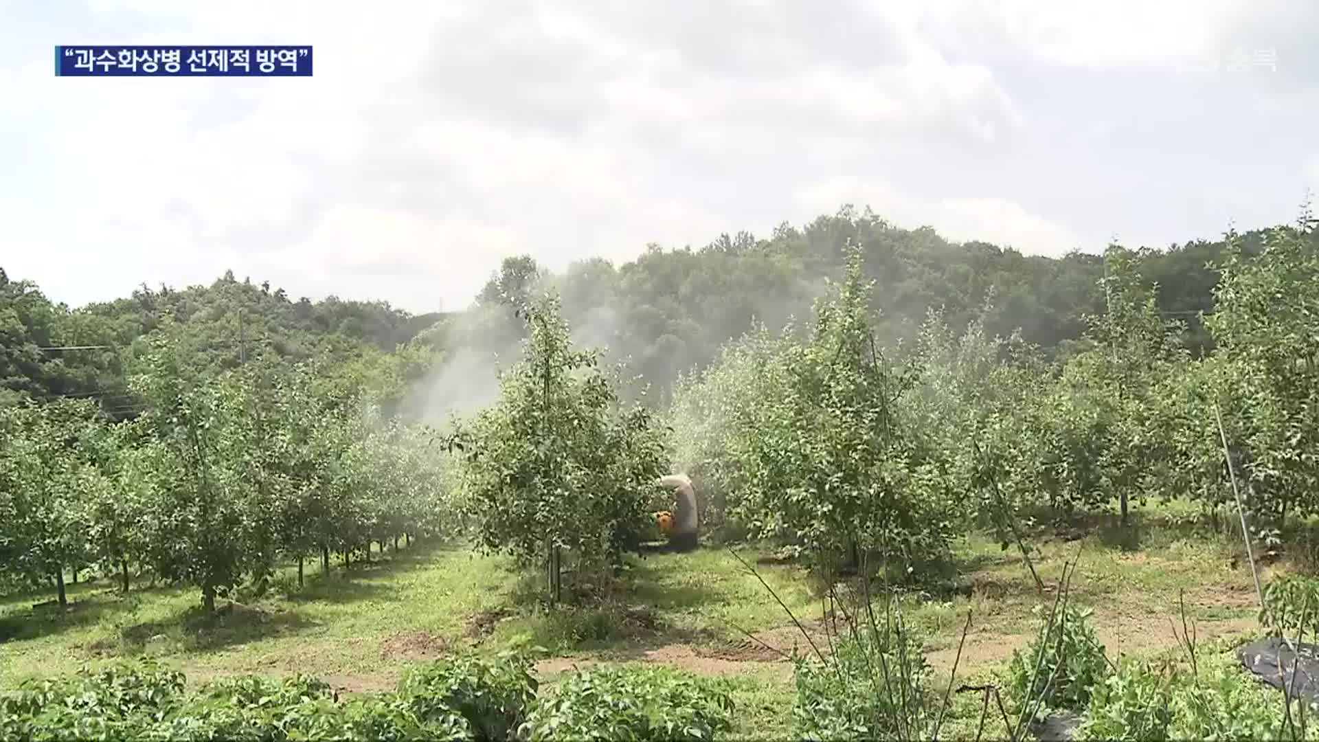 [여기는 충주] 과수화상병 확산에도 거뜬히 예방…“방역 의식 절실”