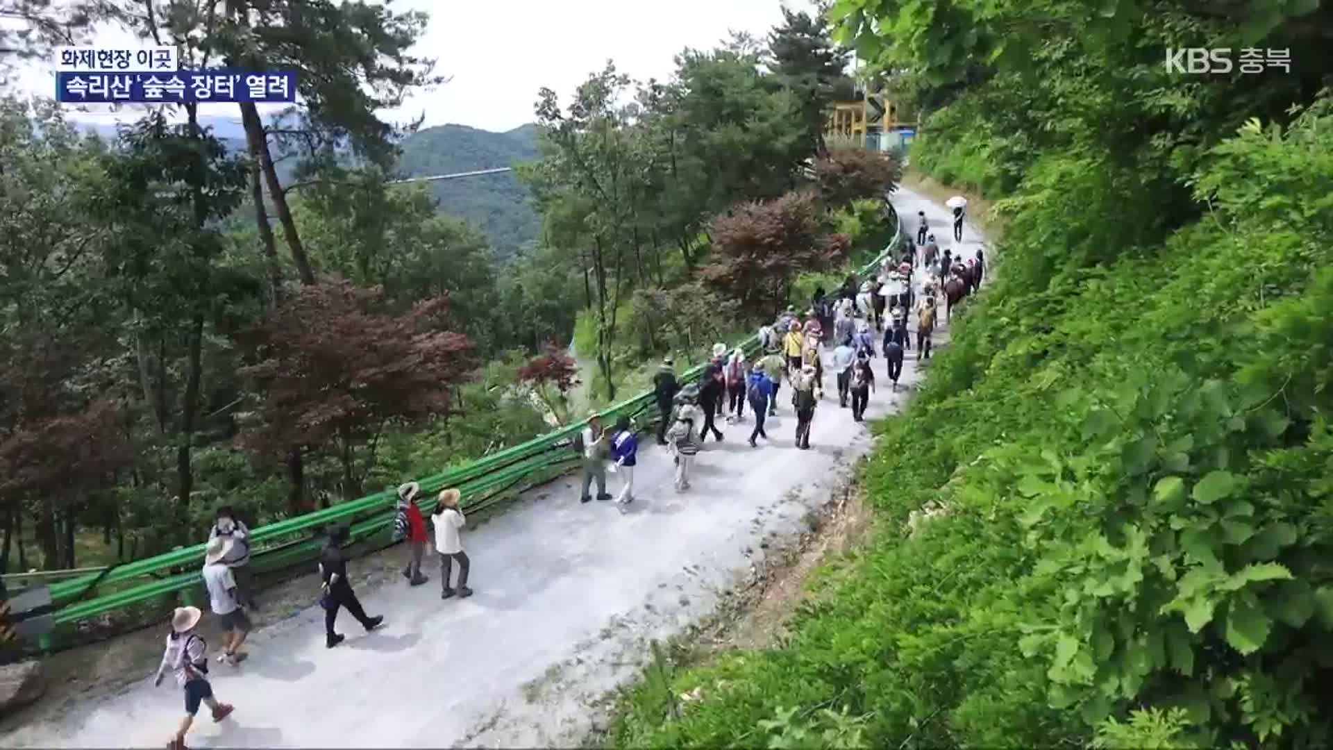 [화제현장 이곳] “숲길 걷고 장도 보고”…속리산 둘레길 행사