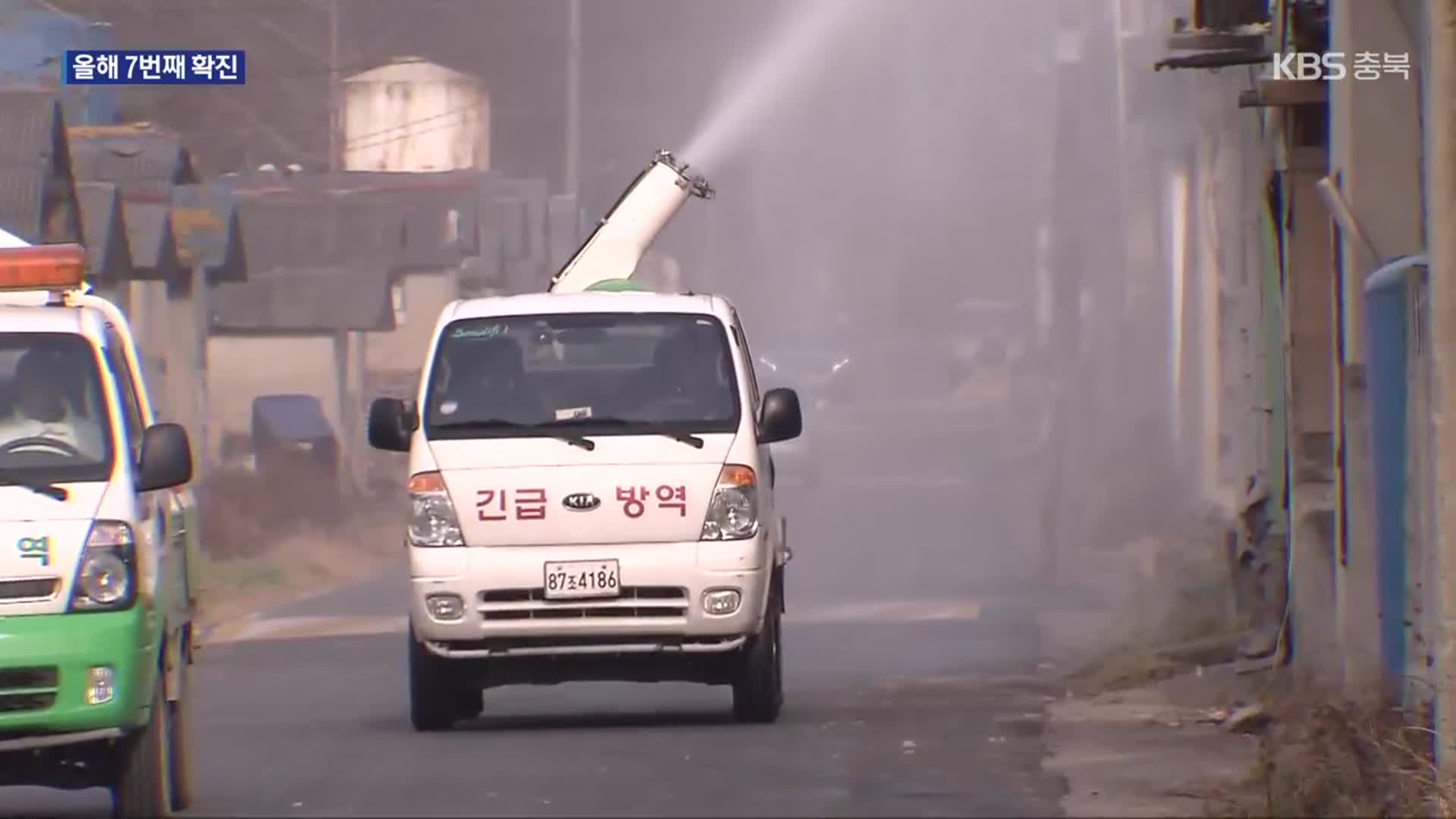 영천서 아프리카 돼지열병 발생…올 들어 7번째