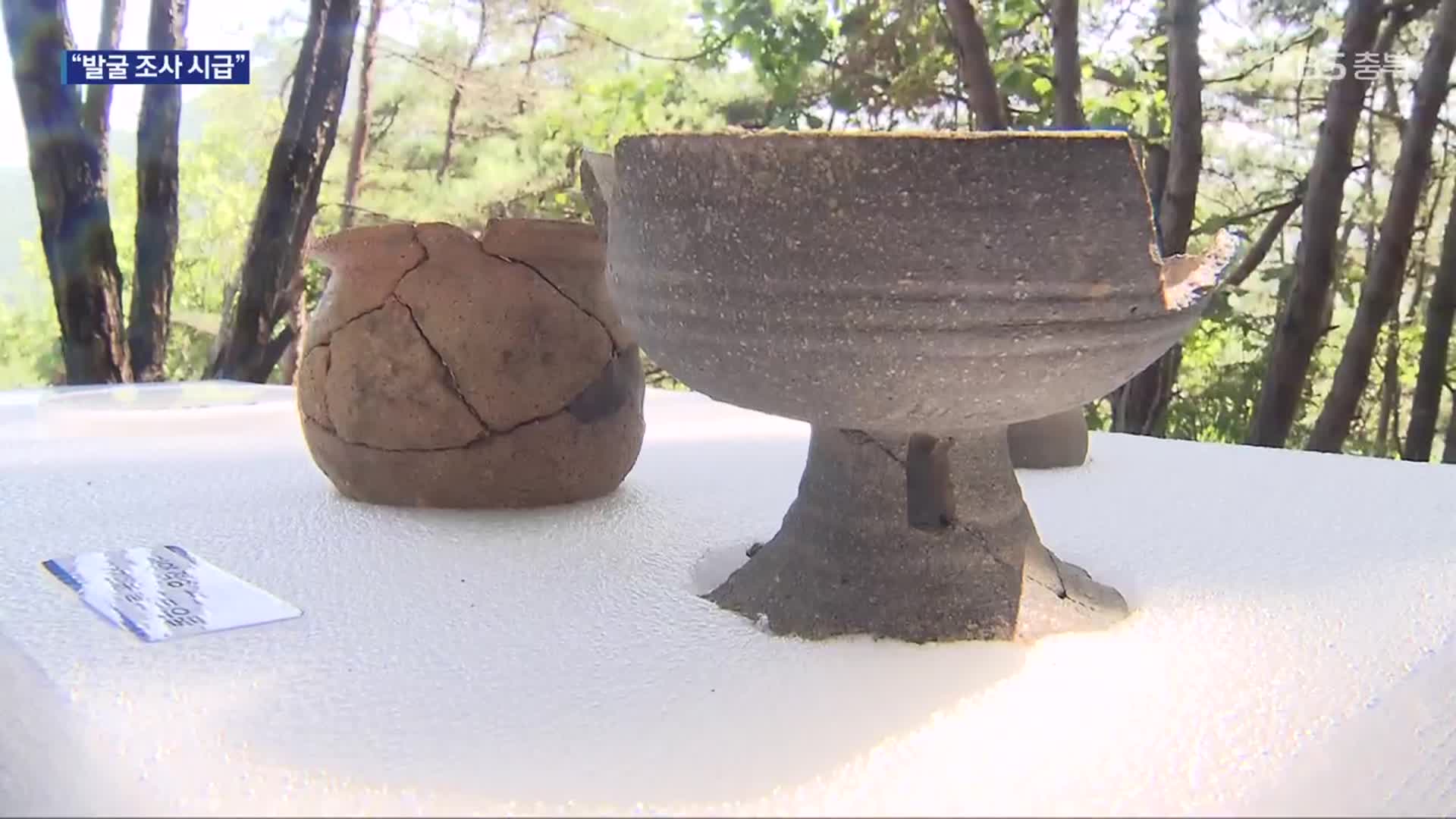 [여기는 충주] 단양서 삼국시대 고분 140여 기 확인…“일부는 도굴”
