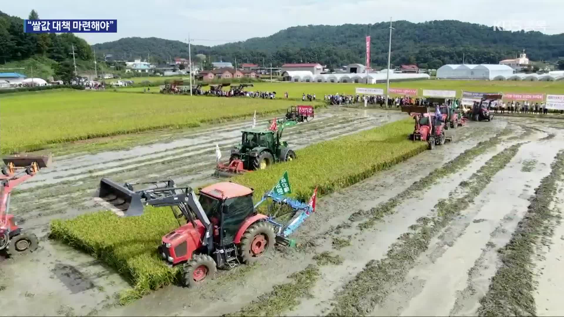 쌀값 폭락 비상…논 갈아엎기까지