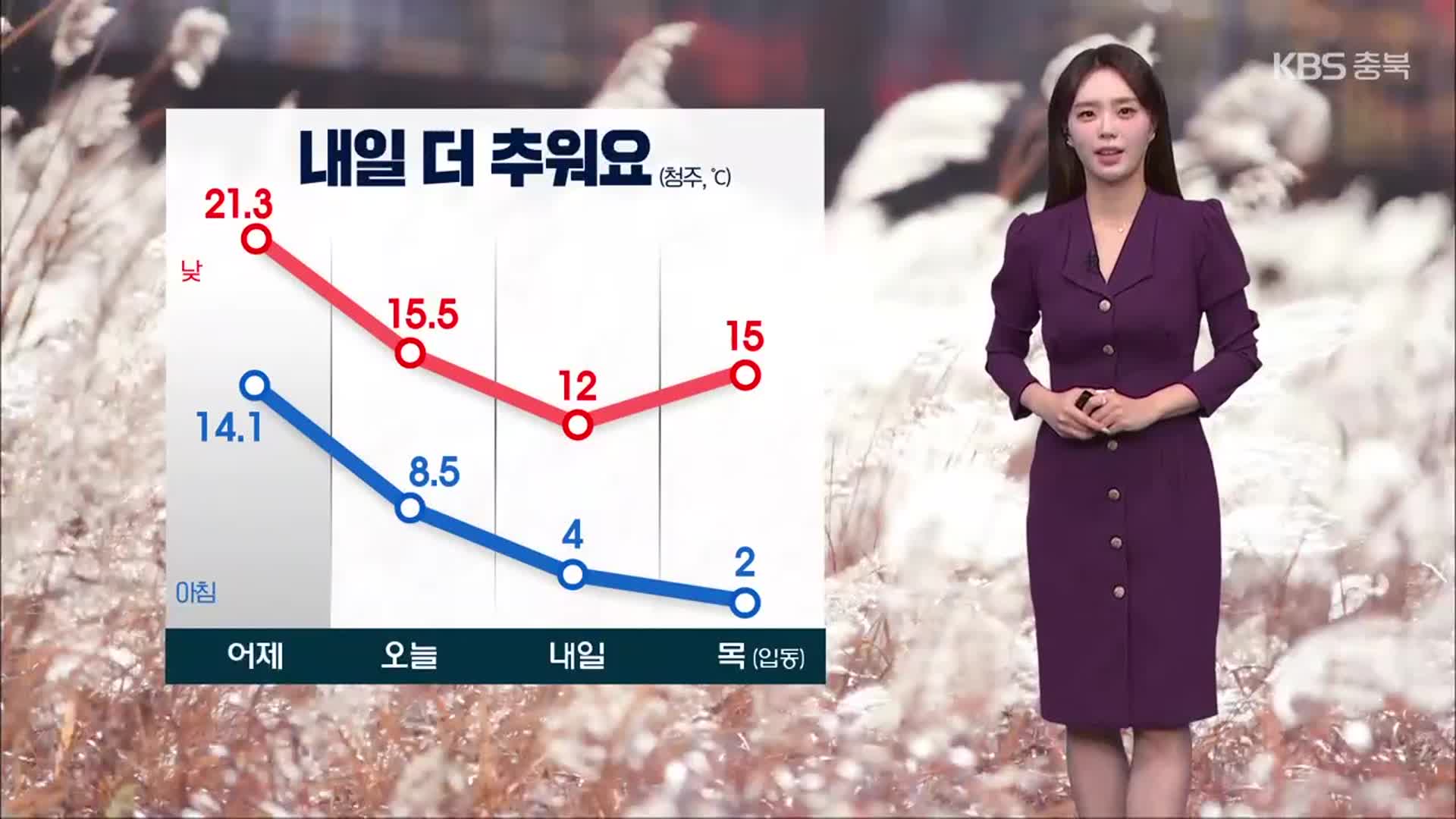 [날씨] 충북 내일 더 추워요…모레 ‘입동’ 추위 절정