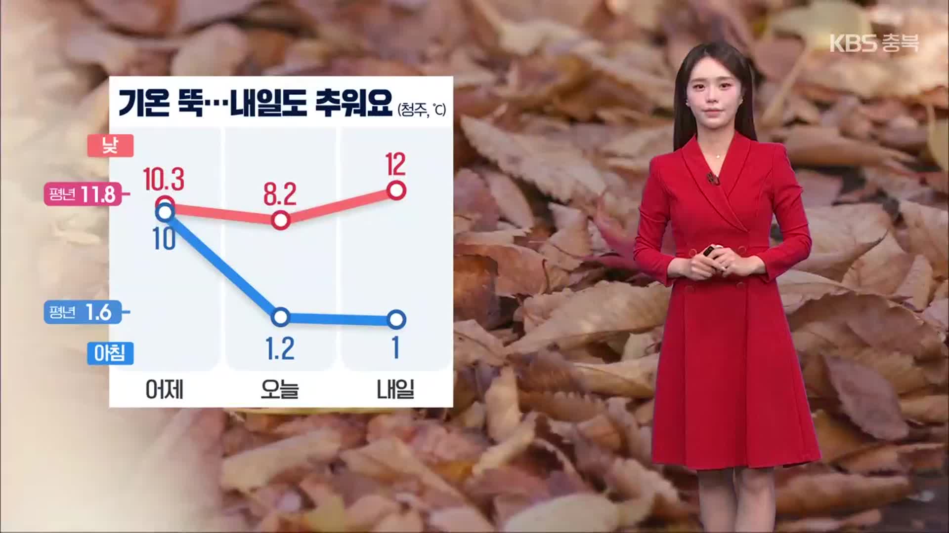 [날씨] 충북 내일도 추워요…청주 올가을 첫얼음